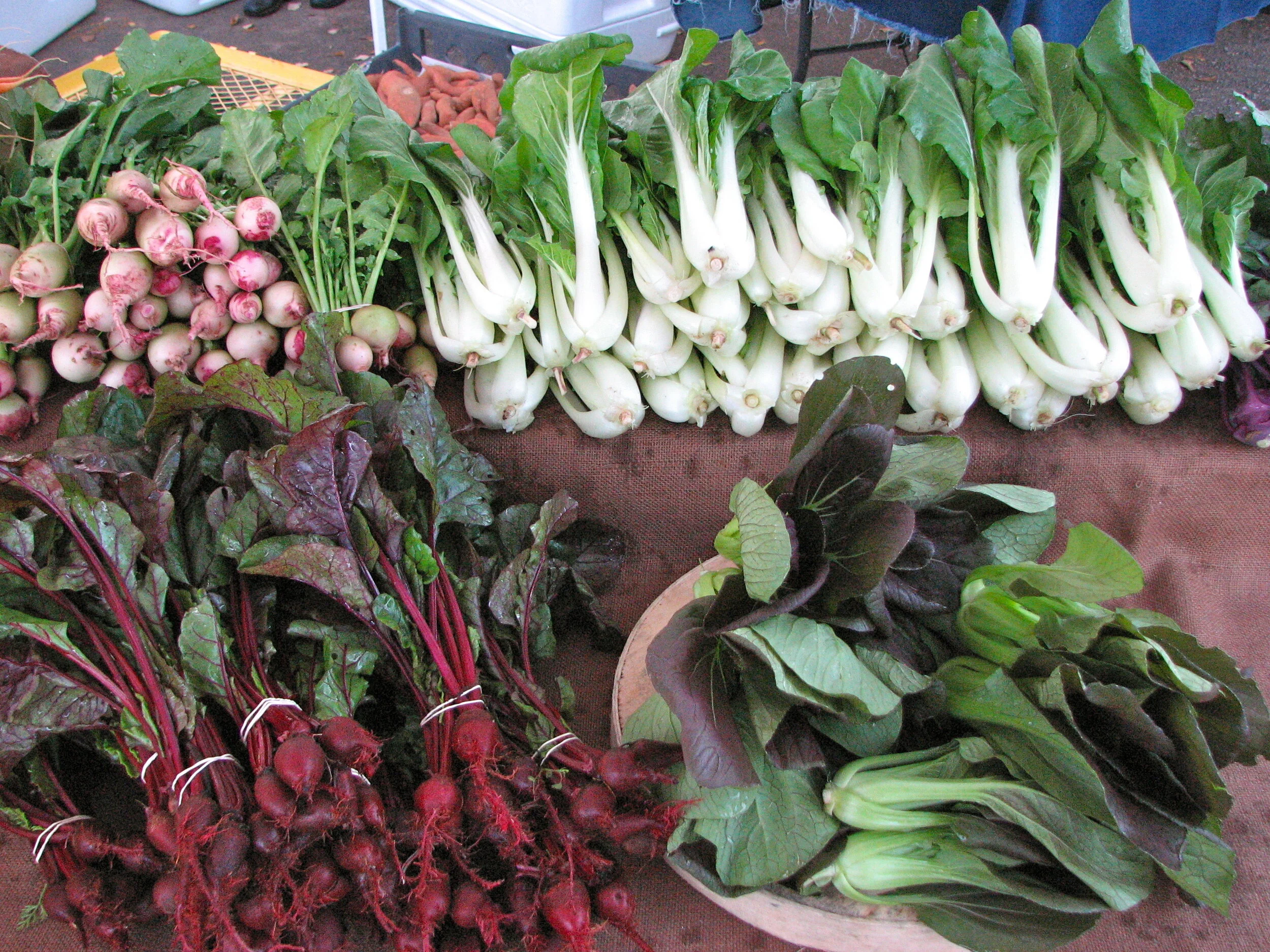 USDA Risk Management Agency Announces Modifications to Whole-Farm Revenue Protection