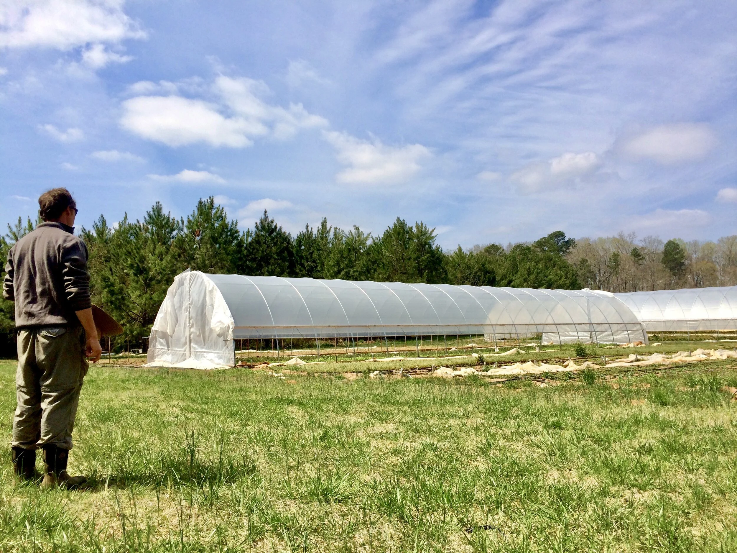 NRCS Environmental Quality Incentives Program Sign-UP Deadline is November 2020