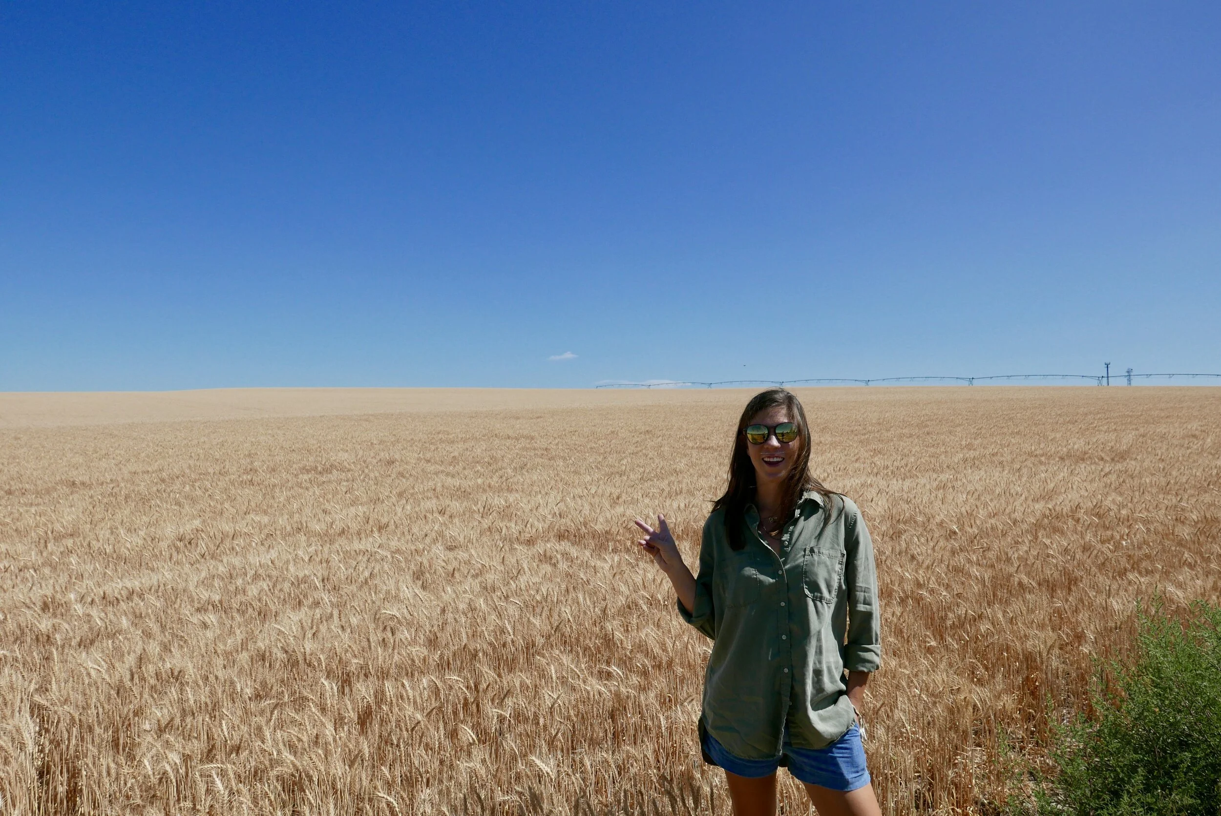 Georgia Foundation For Agriculture Scholarships