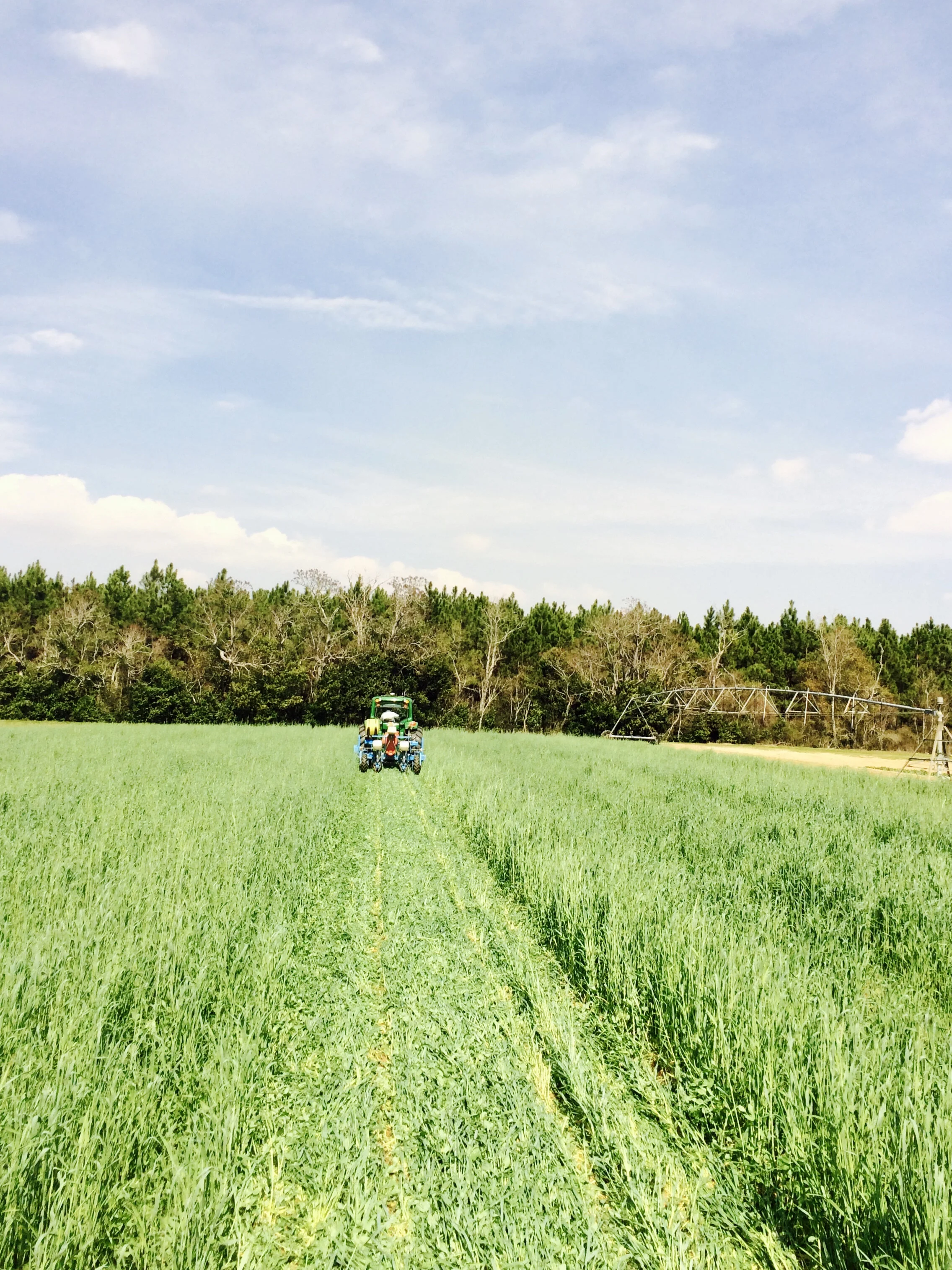 Producers with Crop Insurance to Receive Premium Benefit for Cover Crops