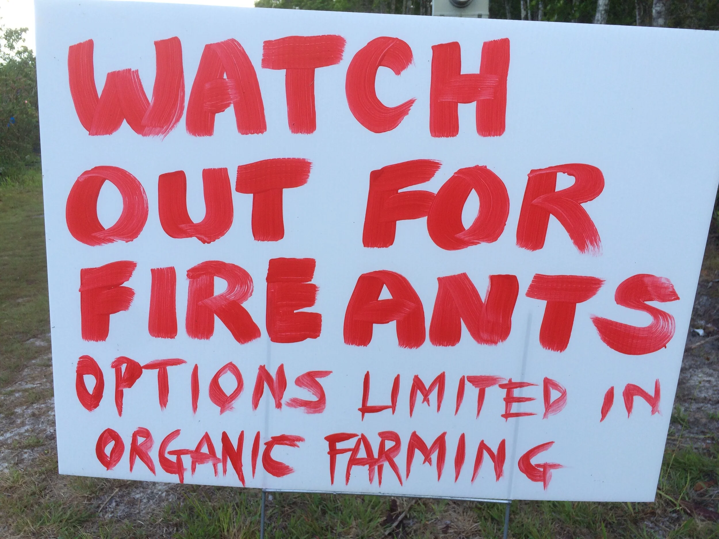 RMA Makes Improvements to Whole-Farm Revenue Protection