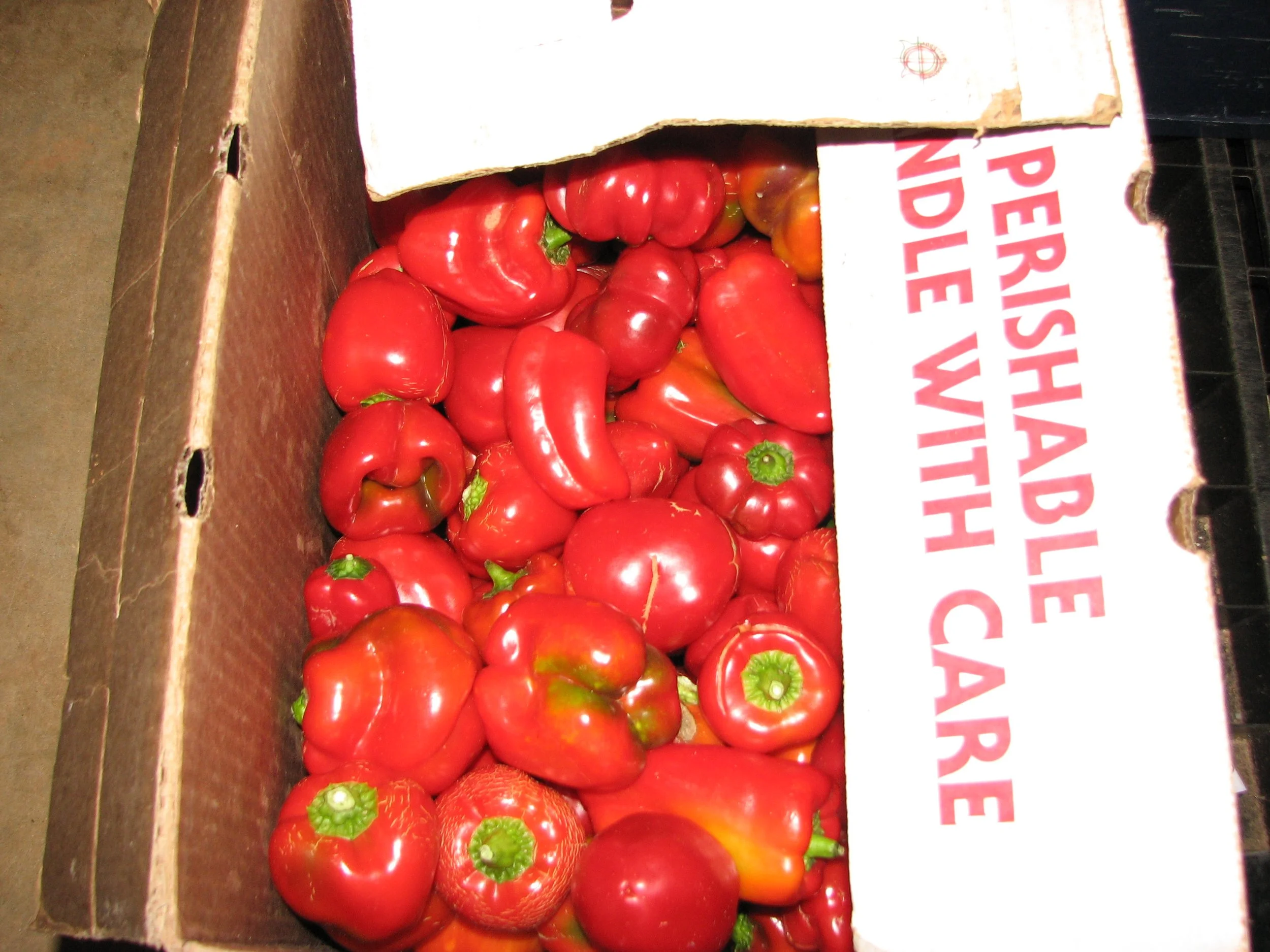 Crop Insurance Deadline Nears in Georgia for Fresh Market Sweet Corn and Pepper Growers