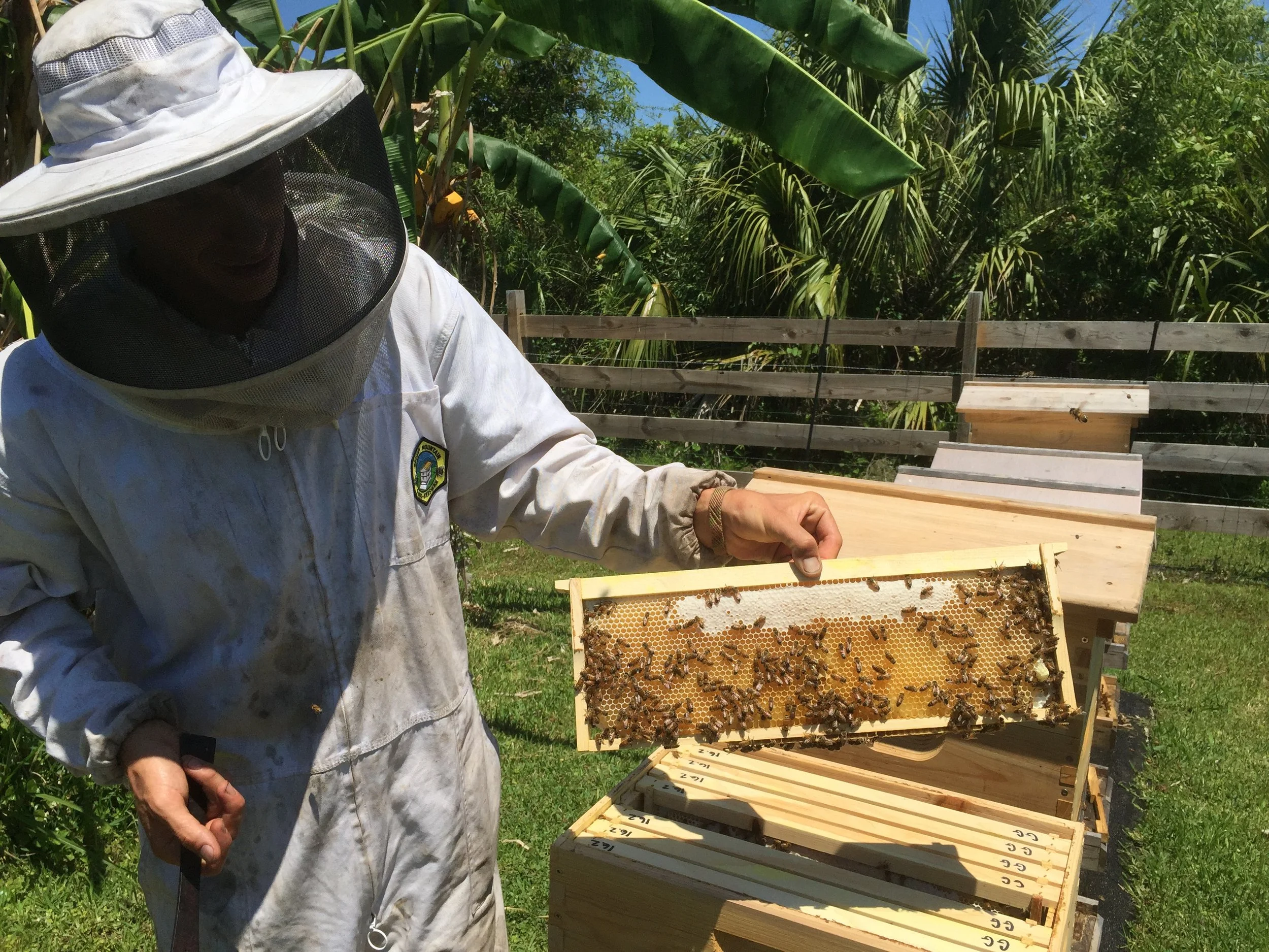 Crop Insurance Deadline Nears in Georgia for Pasture, Rangeland, and Forage and Apiculture Producers