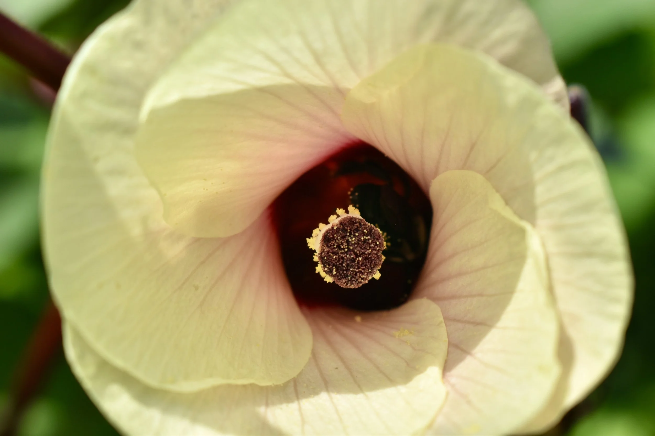 USDA Rolls Out Revenue Based Disaster and Pandemic Assistance Programs