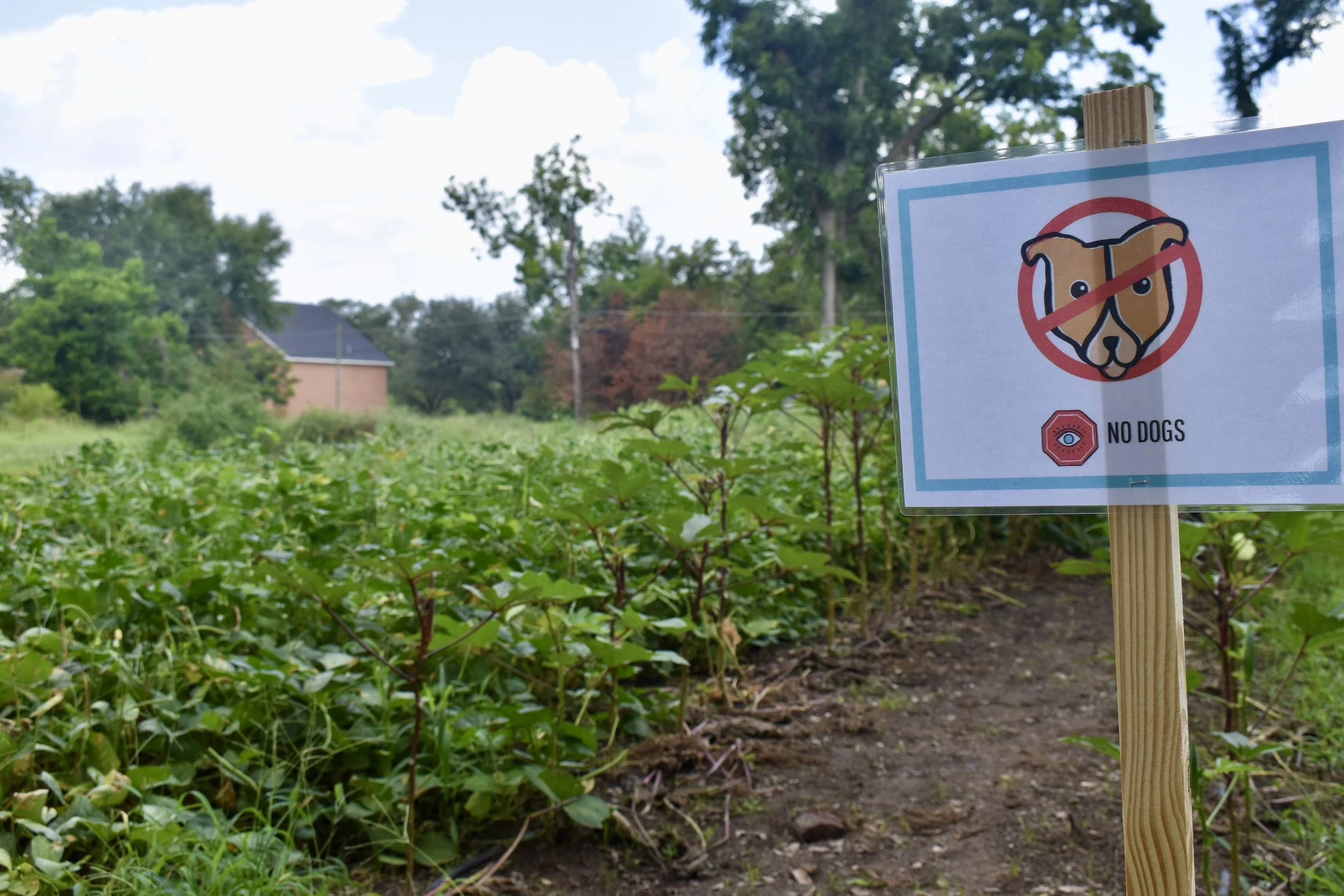 USDA Announces Signup for 2023 Assistance for On-Farm Food Safety Expenses for Specialty Crop Growers