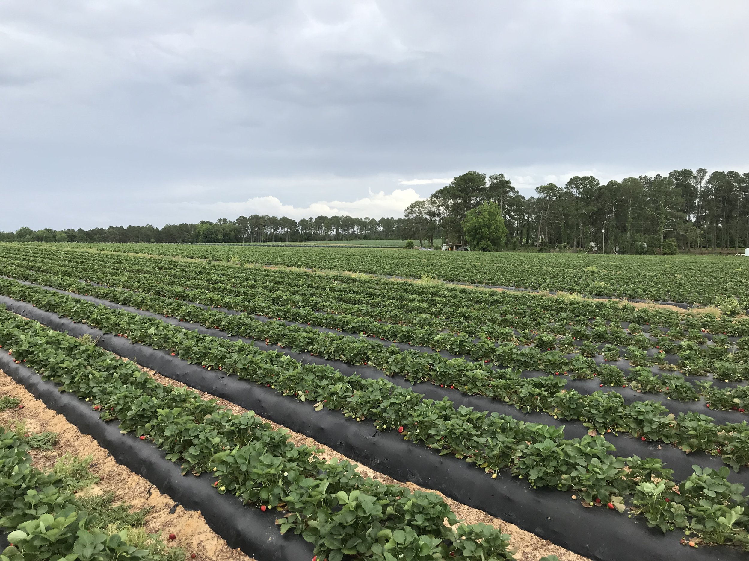 Farmers, Landowners, and Ranchers Education & Outreach Networking Workshop