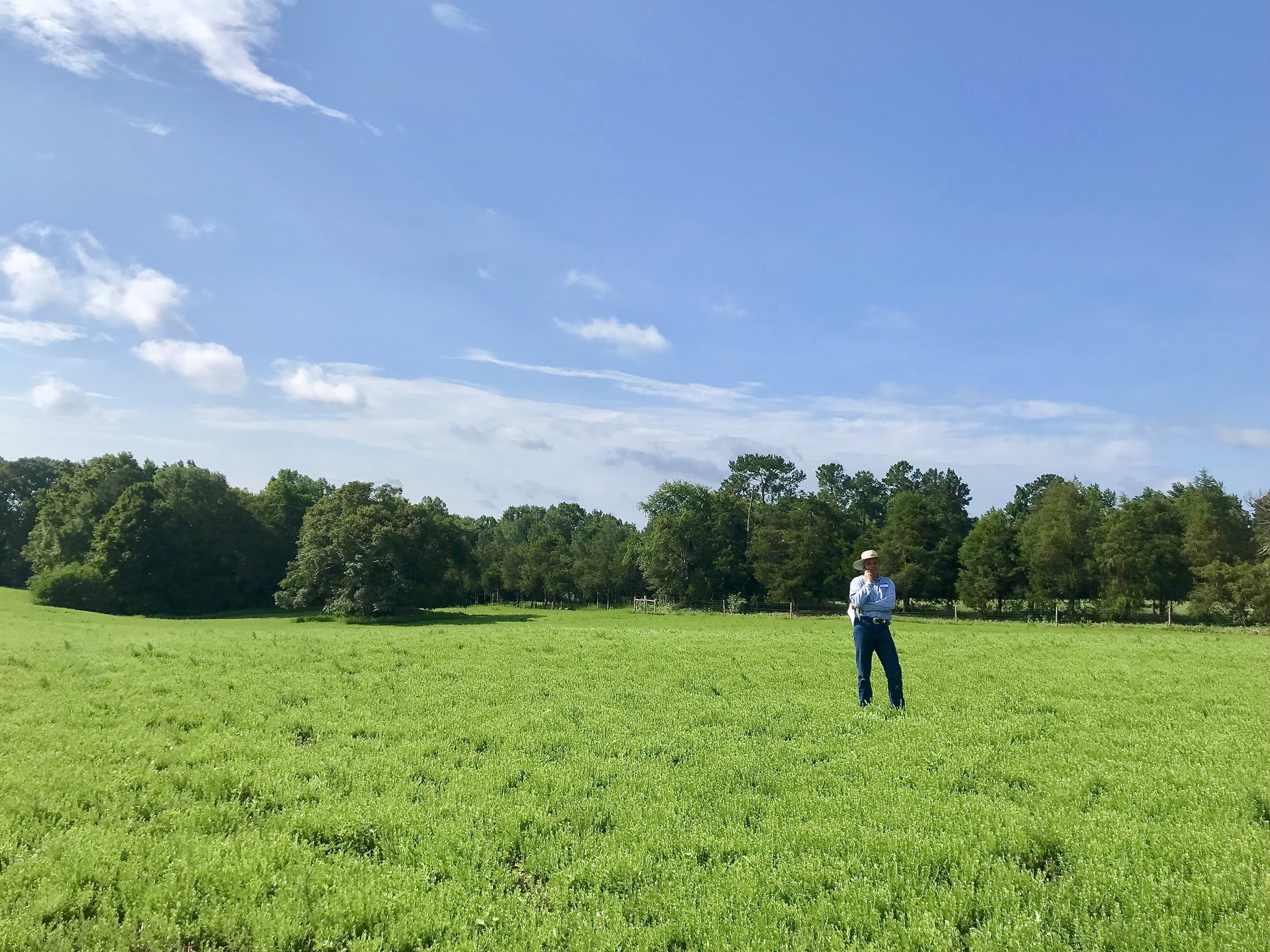 Georgia Forages &amp; Grasslands Council: Summer Forage Tour