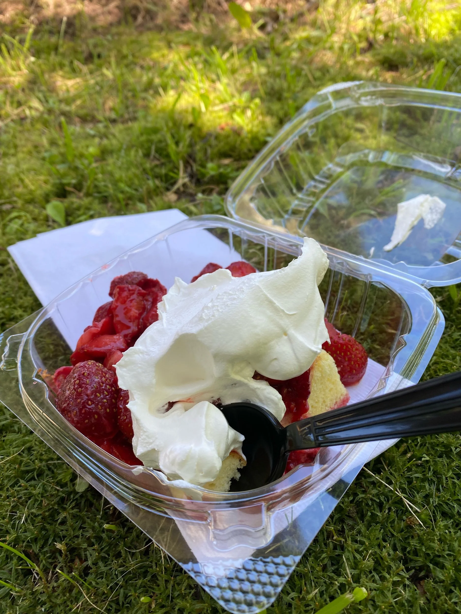 My hometown festival