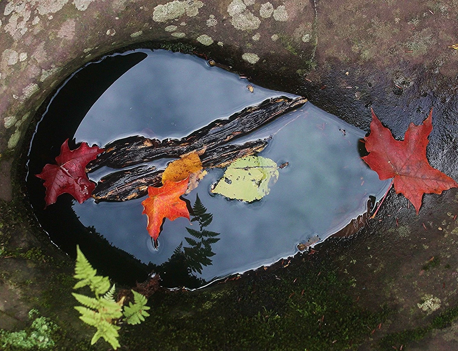 Fleeting art in nature