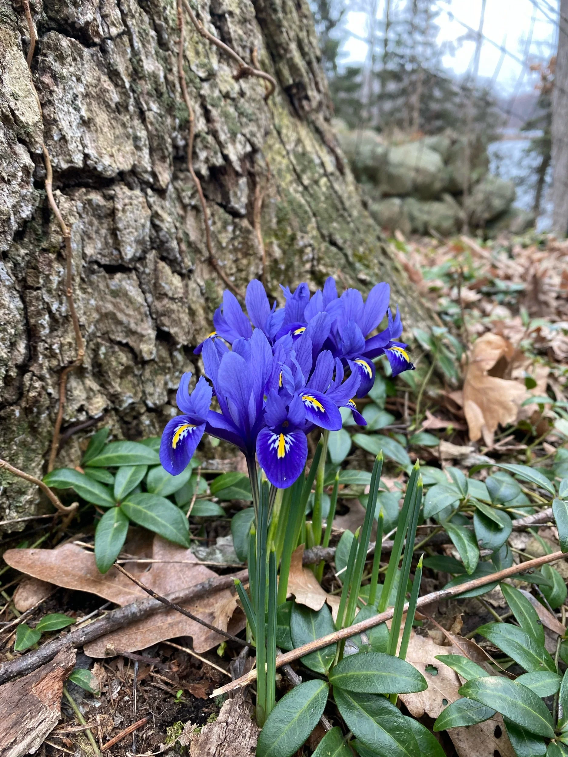 IMG_7840.jpeg
