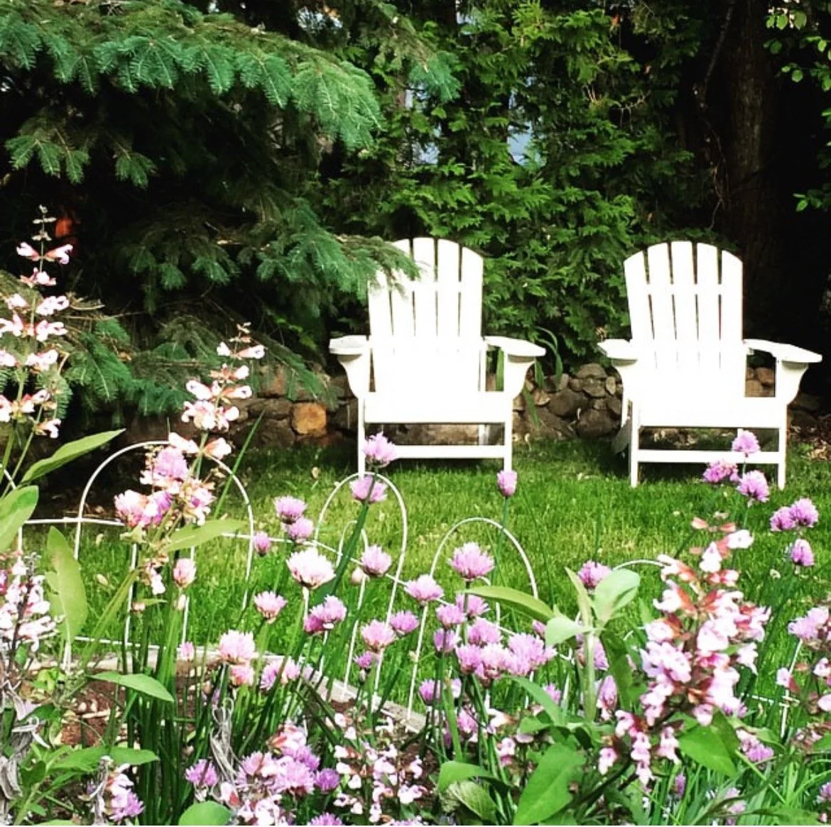 Screenshot 2023-04-15 at 1.57.45 PM.jpeg