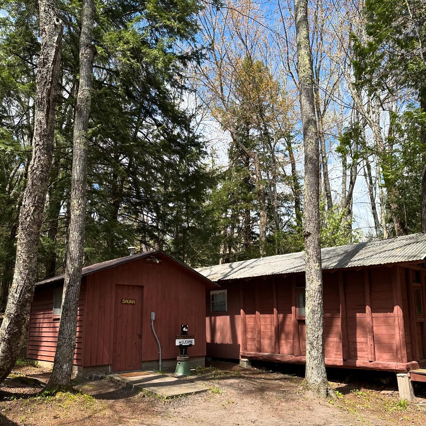 Leaves are popping as the spring cleaning continues 🧹🧺 🌱 manninenscabins.com #springcleaning #88thseason #logcabinresort #otterlakelife #manninenscabins