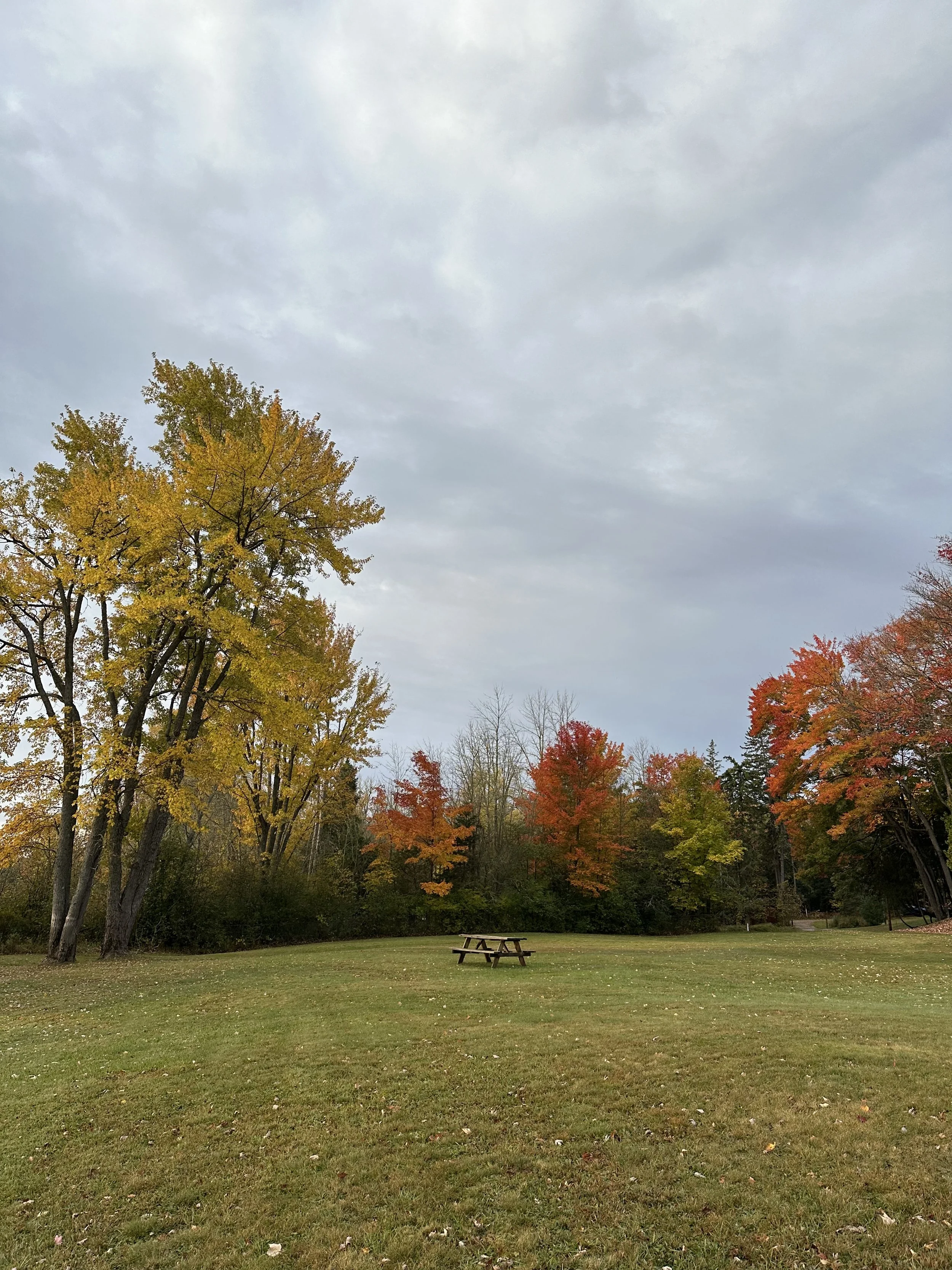 image_67190273.JPG