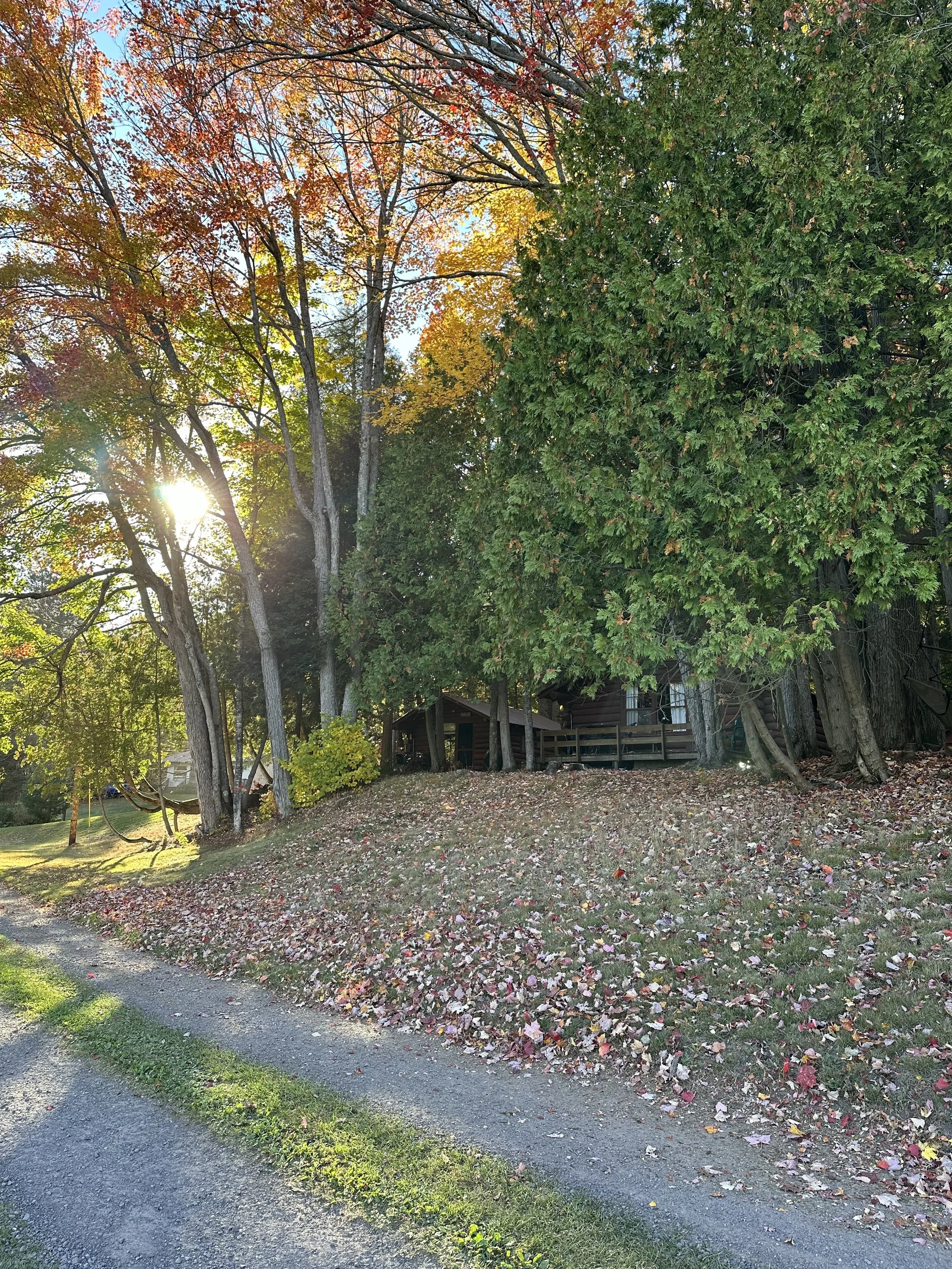 image_67506433.JPG