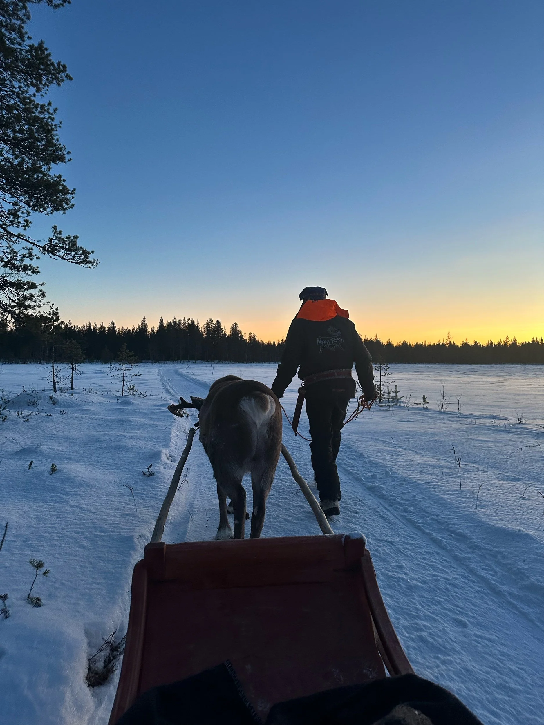 From Finland with love