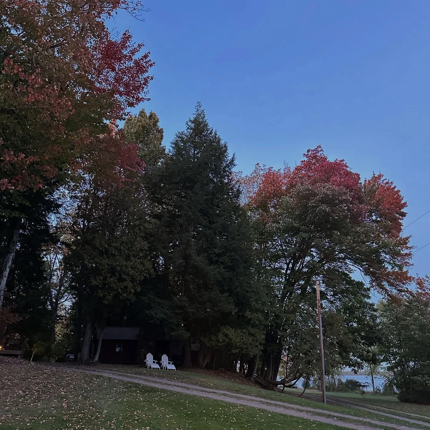 Autumn 🍁 manninenscabins.com #autumninmichigan #fallinmichigan #colorseason #otterlakelife #manninenscabins