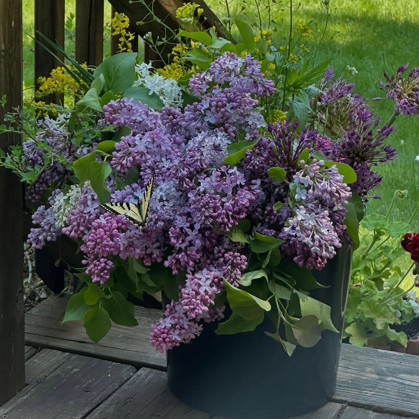 The 2025 cabin season brought beauty and unexpected surprises. Take a look at our photos of the year on today’s yoopercabingrl blog: manninenscabins.com/cabin-blog/2025/10/22/photos-of-the-year #photosoftheyear #89thseason #yoopercabingrlblog #