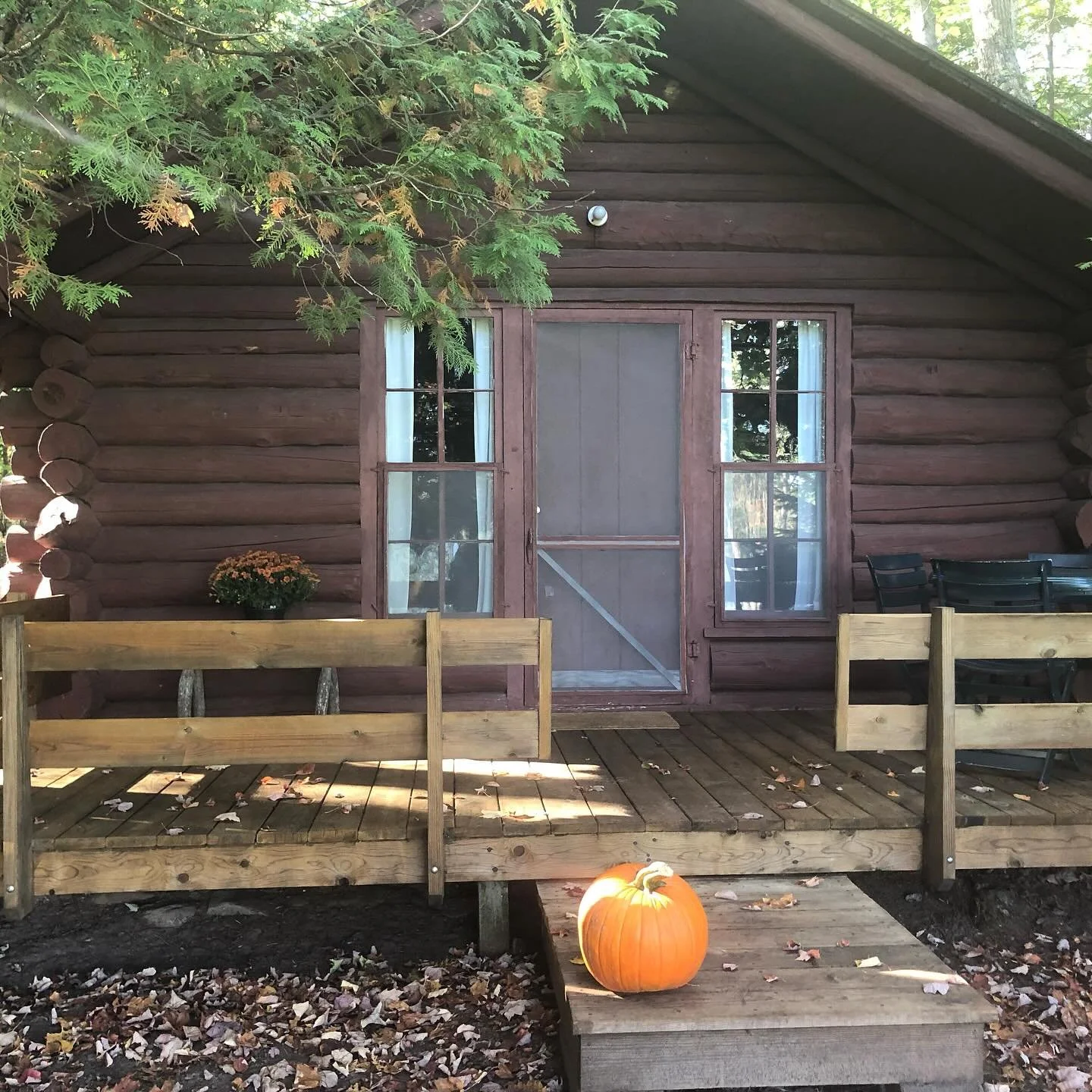Happy Halloween 🎃 manninenscabins.com #otterlakelife #manninenscabins