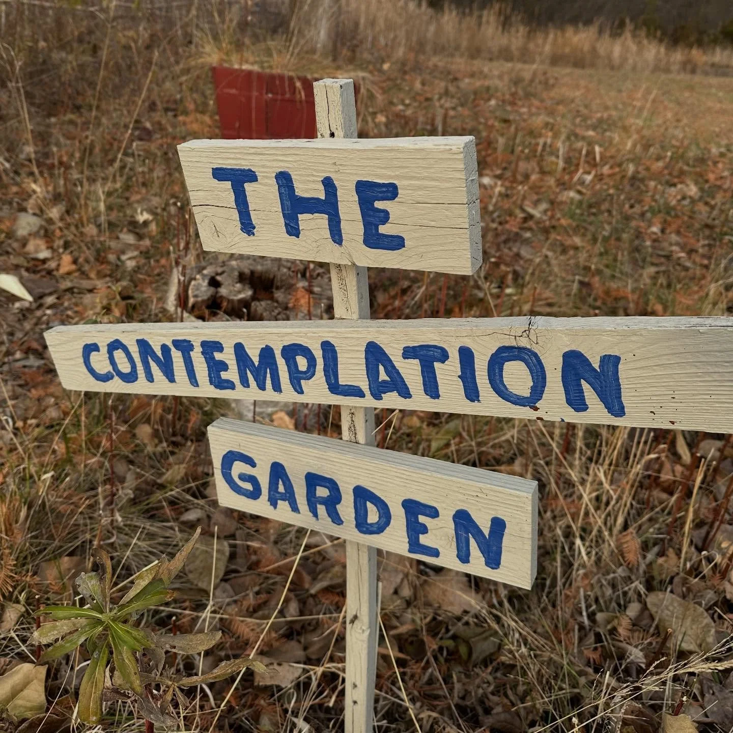 Nature heals what ails us. Brush away the leaves and find some hidden treasures on today&rsquo;s yoopercabingrl blog: manninenscabins.com/cabin-blog/2025/11/20/hidden-treasures #naturehealsus #hiddentreasures #finlandiagardens #finnishcenterassociati