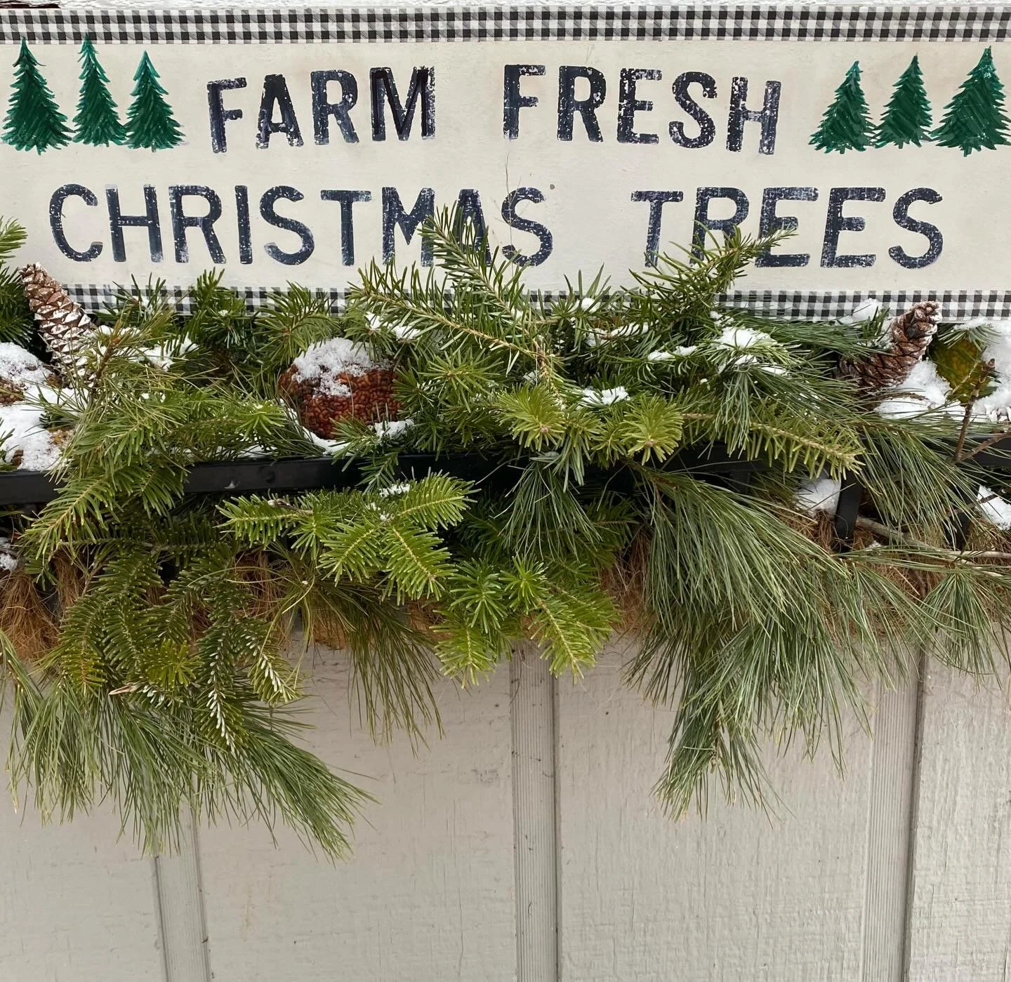 Every tree, like every person, is perfect to someone. Find your perfect tree on today&rsquo;s yoopercabingrl blog: manninenscabins.com/cabin-blog/2025/12/4/the-perfect-tree #perfecttree #christmastrees #lightsofchristmas #otterlakelife #manninenscabi