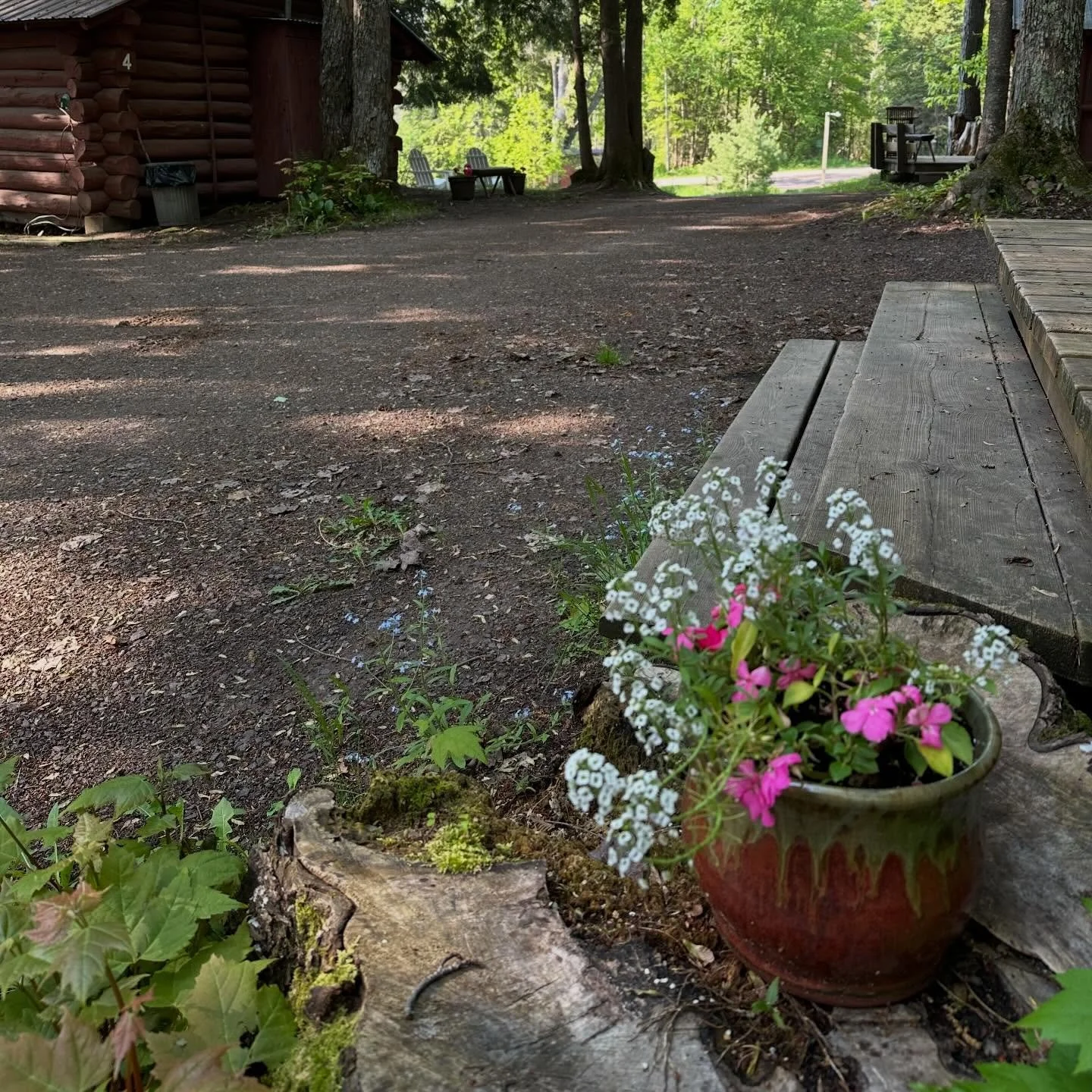 Gearing up for our 90th season, which will run May 9-Oct. 17, 2026. Book now to take advantage of 2025 rates and special deals for longer stays. manninenscabins.com #otterlakelife #manninenscabins