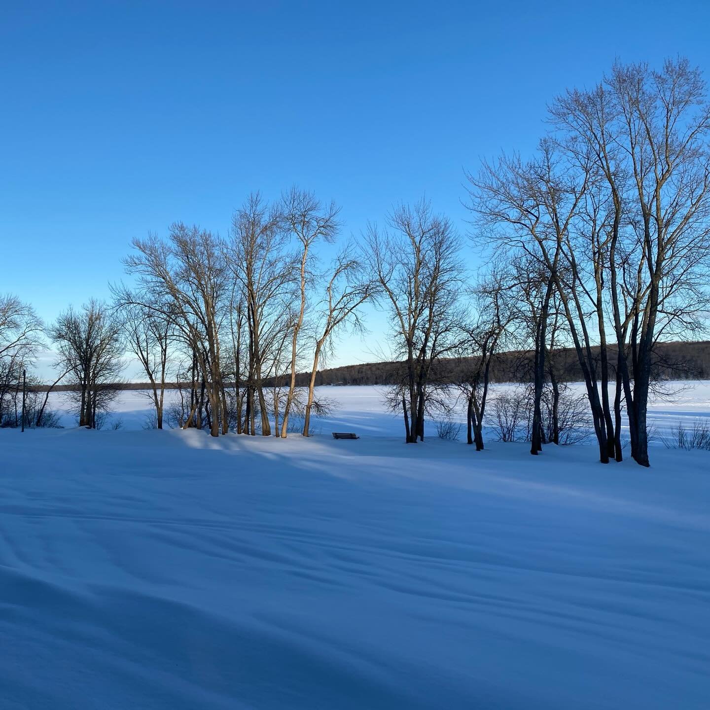 As we are all snowed in, Imbolc is a nice reminder that seasons change. There are faint stirrings of spring on today&rsquo;s yoopercabingrl blog: manninenscabins.com/cabin-blog/2026/2/1/imbolc #imbolc #imbolcblessings #isitspringyet #otterlakelife #m