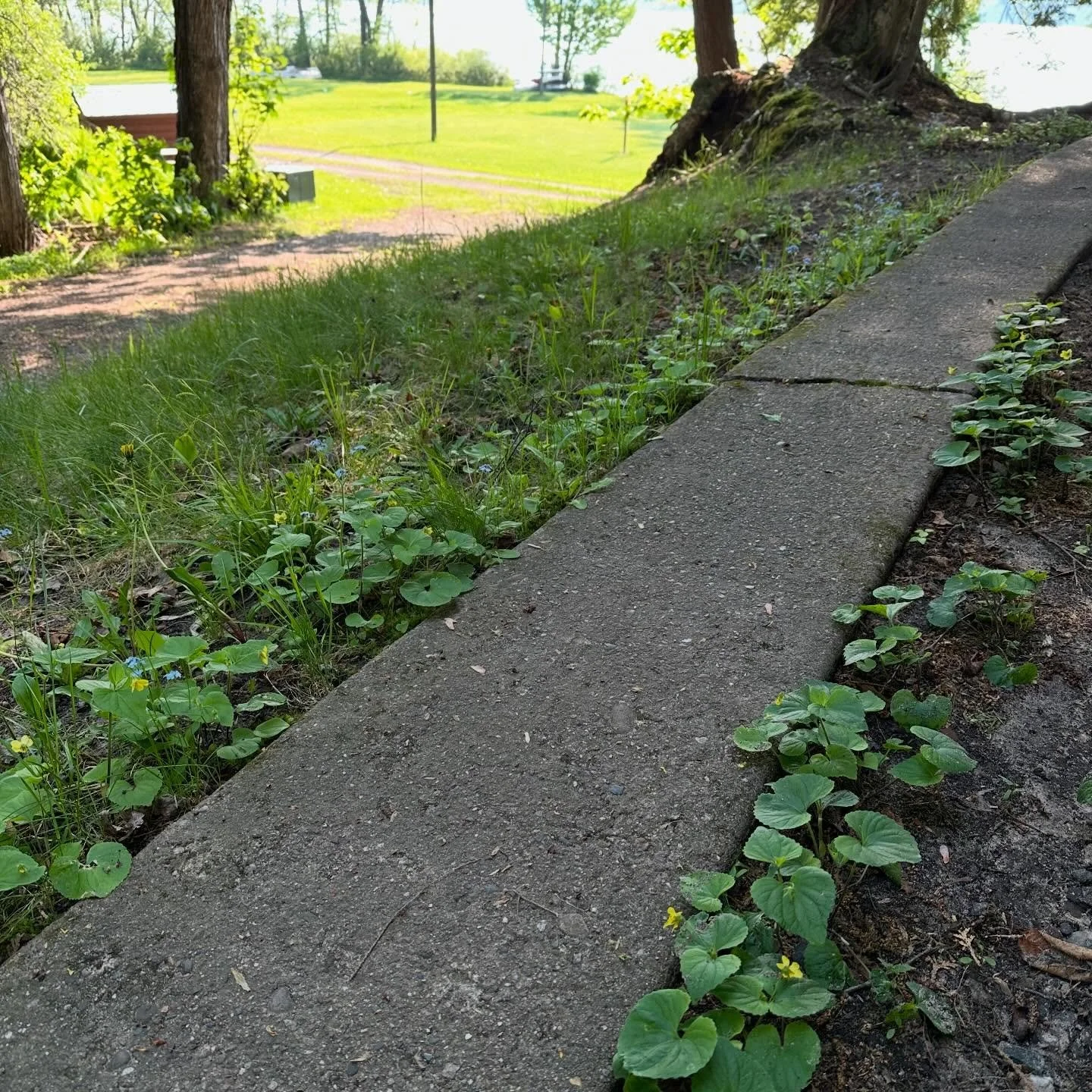 Dreaming of spring today. Manninen&rsquo;s Cabins opens for its 90th season on May 9. Come for a visit and be part of the story 🌷 manninenscabins.com #90thseason #otterlakelife #manninenscabins