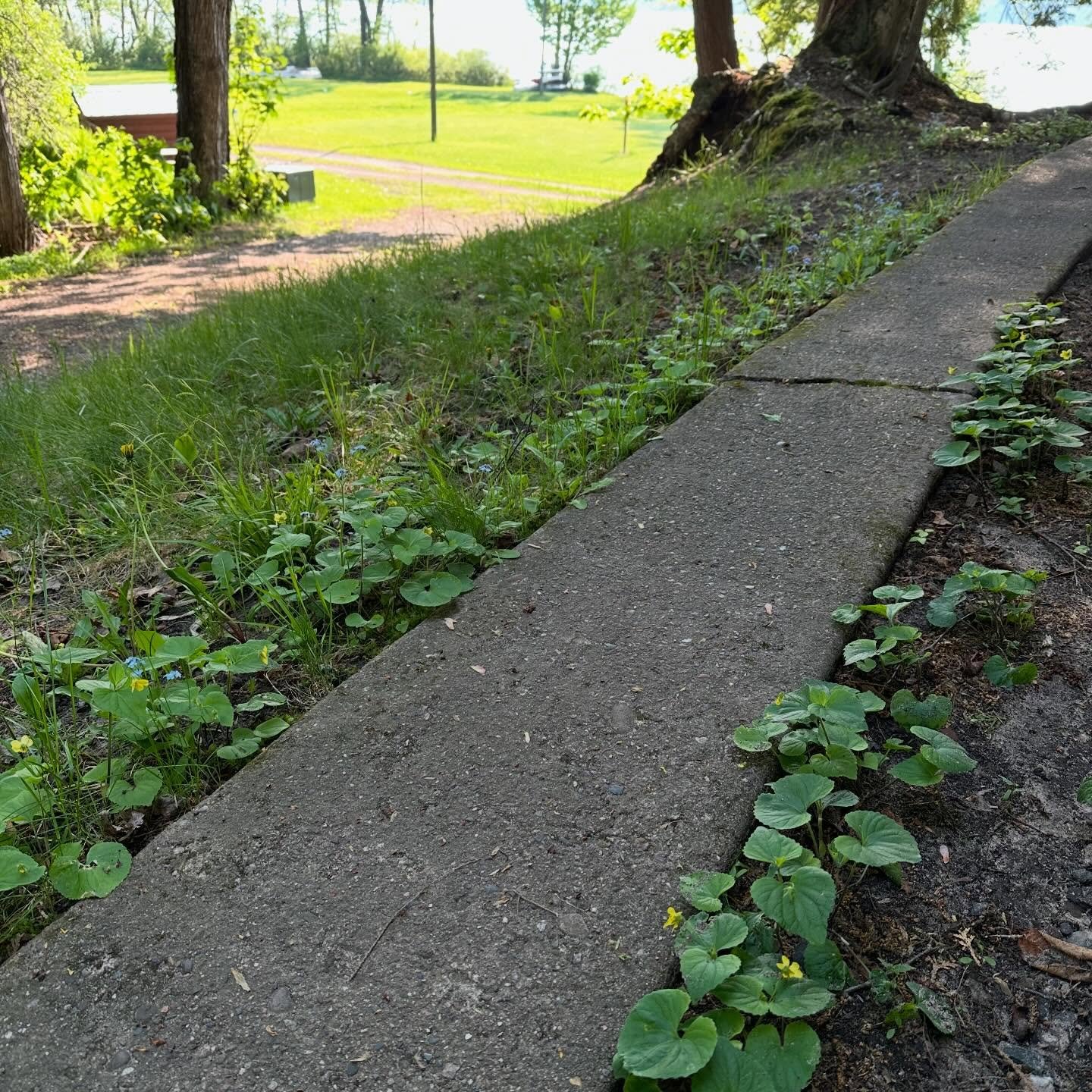 Dreaming of spring today. Manninen&rsquo;s Cabins opens for its 90th season on May 9. Come for a visit and be part of the story 🌷 manninenscabins.com #90thseason #otterlakelife #manninenscabins