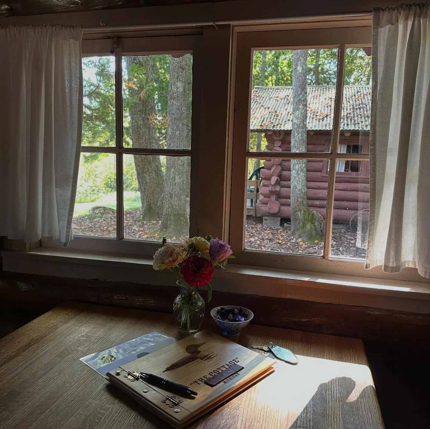 Looking forward to these views again. Come for a visit. manninenscabins.com #otterlakelife #manninenscabins