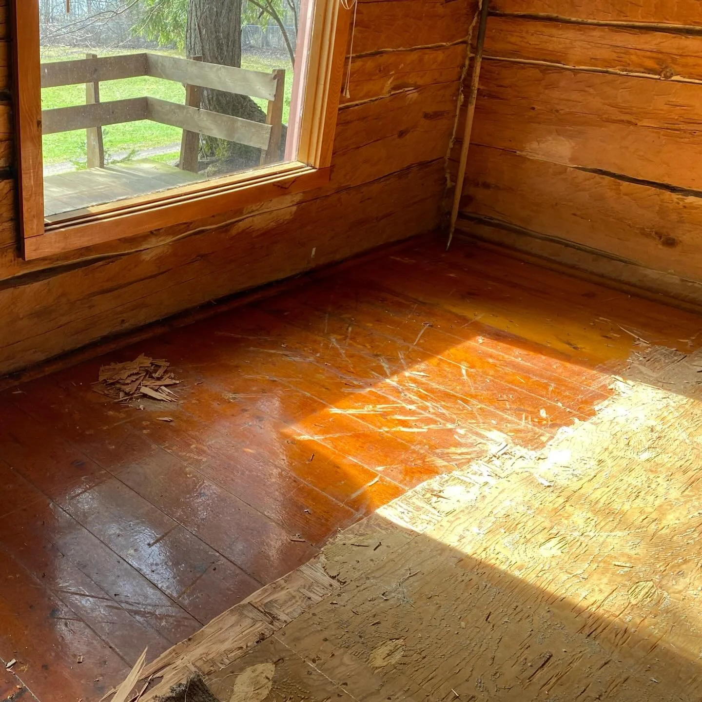 We are restoring the original wood floors in cabins 2-3-4-7 this spring. This was the Yksi (No. 1) project in 2022. I love uncovering these hidden treasures. manninenscabins.com #floorrefinishing #originalwood #cabinupgrades #otterlakelife #manninens