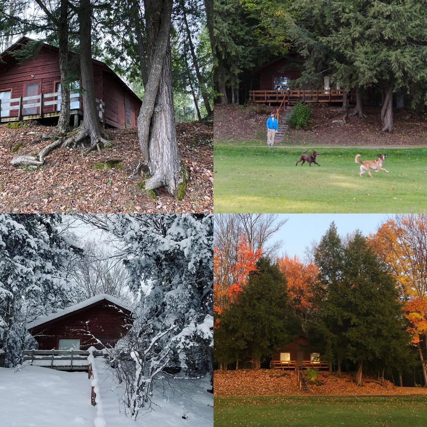 The Yksi (No. 1) cabin. Beautiful in all seasons. Book your own Yksi experience at manninenscabins.com. #yksicabin #otterlakelife #manninenscabins