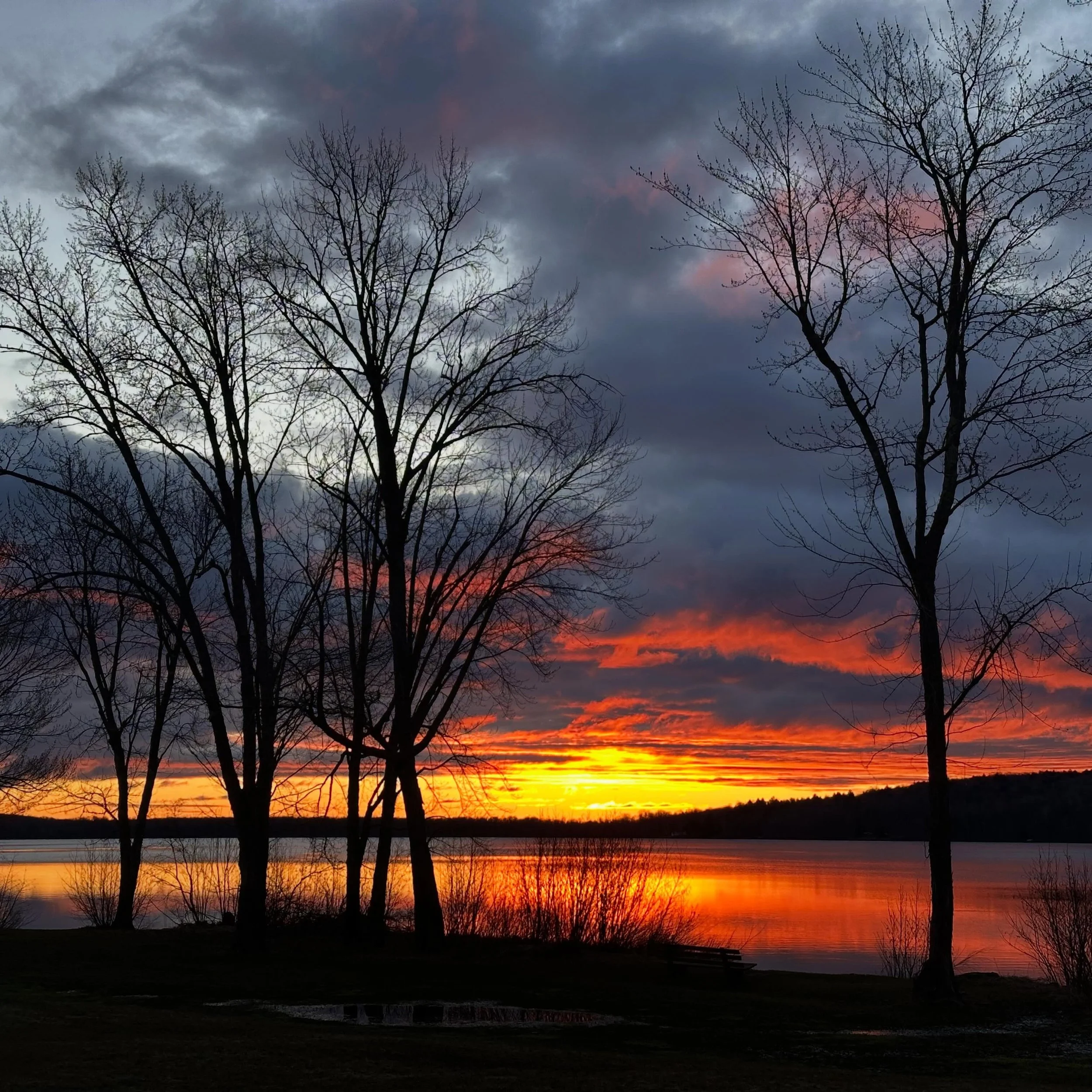 Good morning, sunshine. manninenscabins.com #otterlakelife #manninenscabins