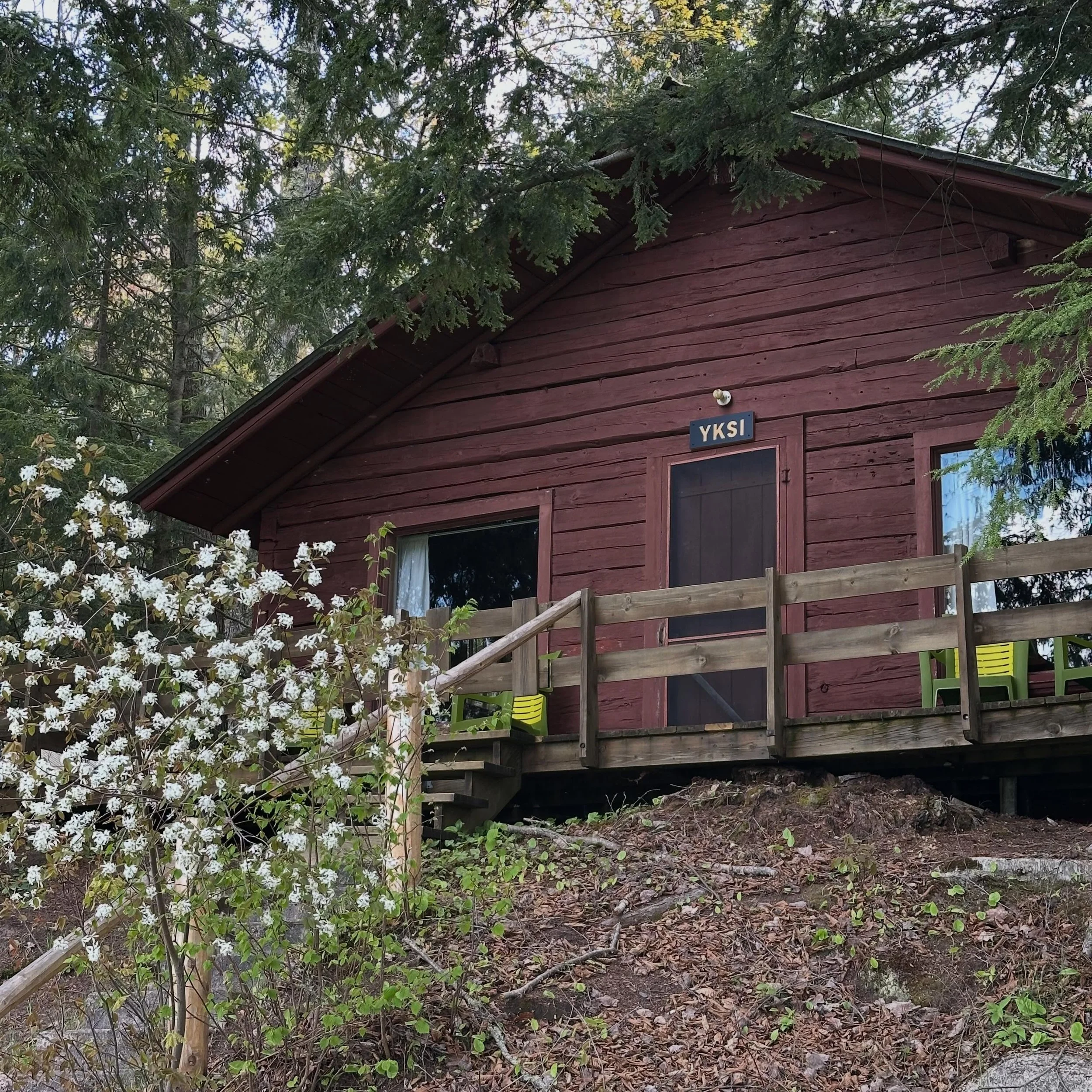 The trees and bushes are in full bloom now. manninenscabins.com #yksicabin #otterlakelife #manninenscabins