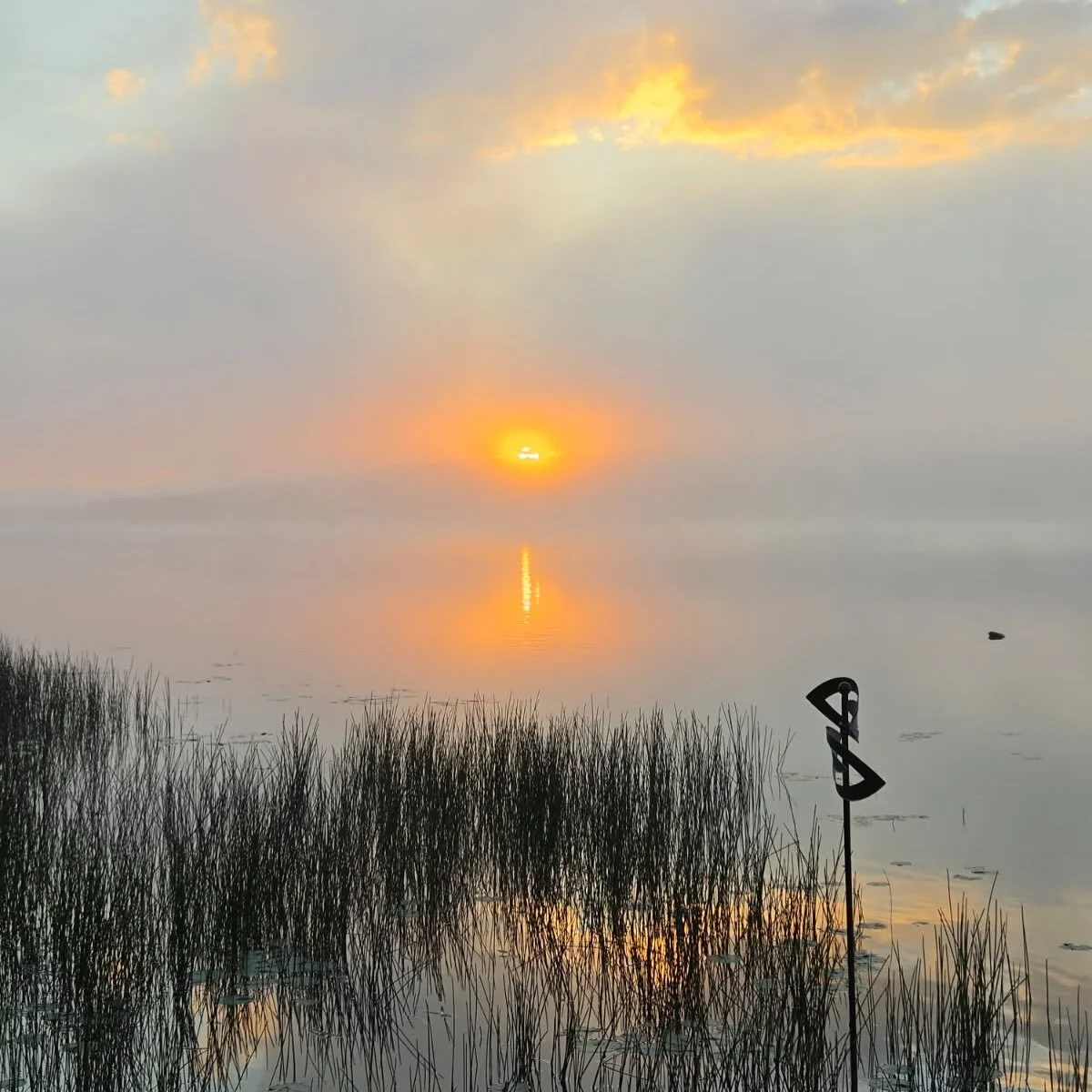 These cool, dewey, hazy mornings are divine. manninenscabins.com #otterlakelife #manninenscabins
