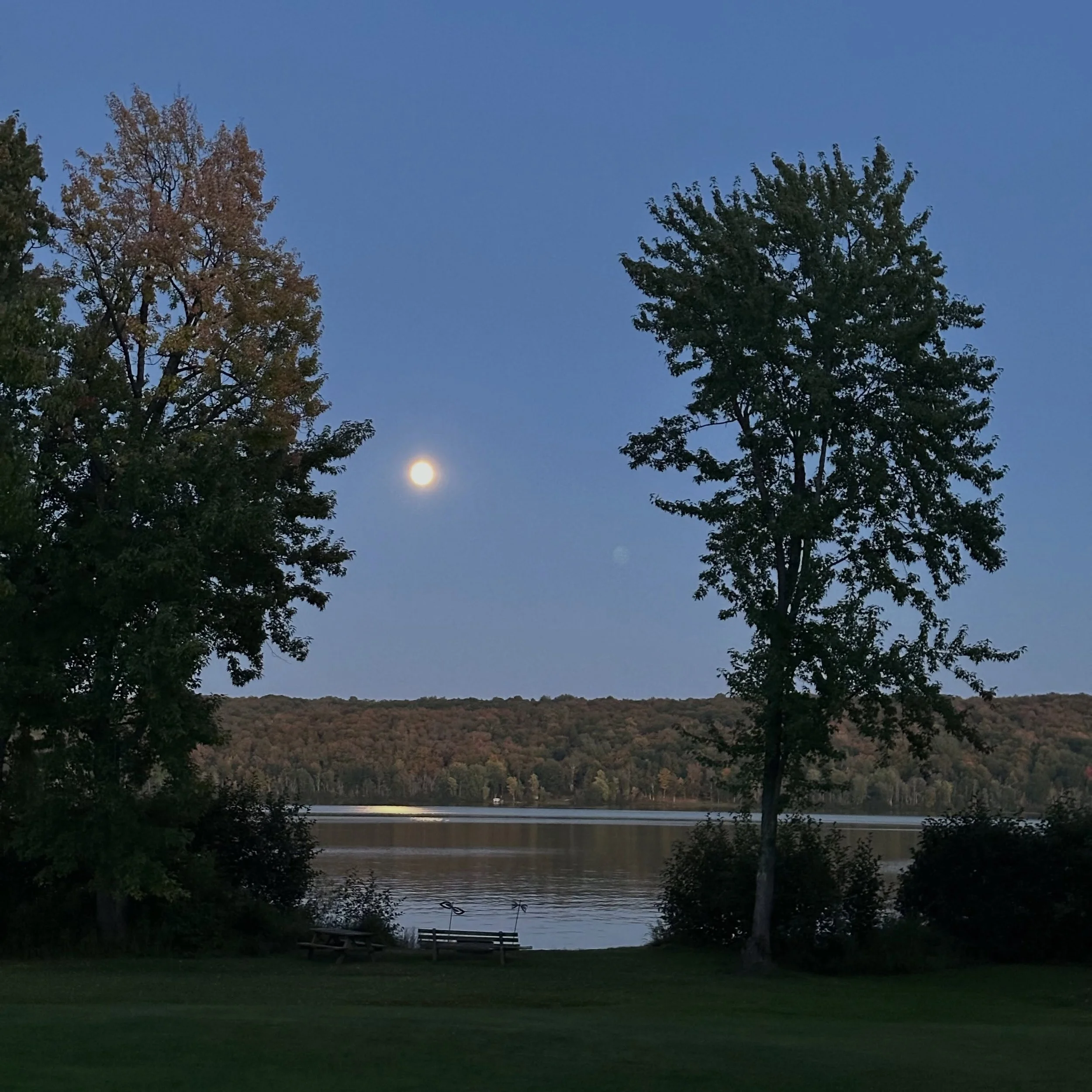 Full moon rising on a Friday 🌖 manninenscabins.com #fullmoonrising #otterlakelife #manninenscabins
