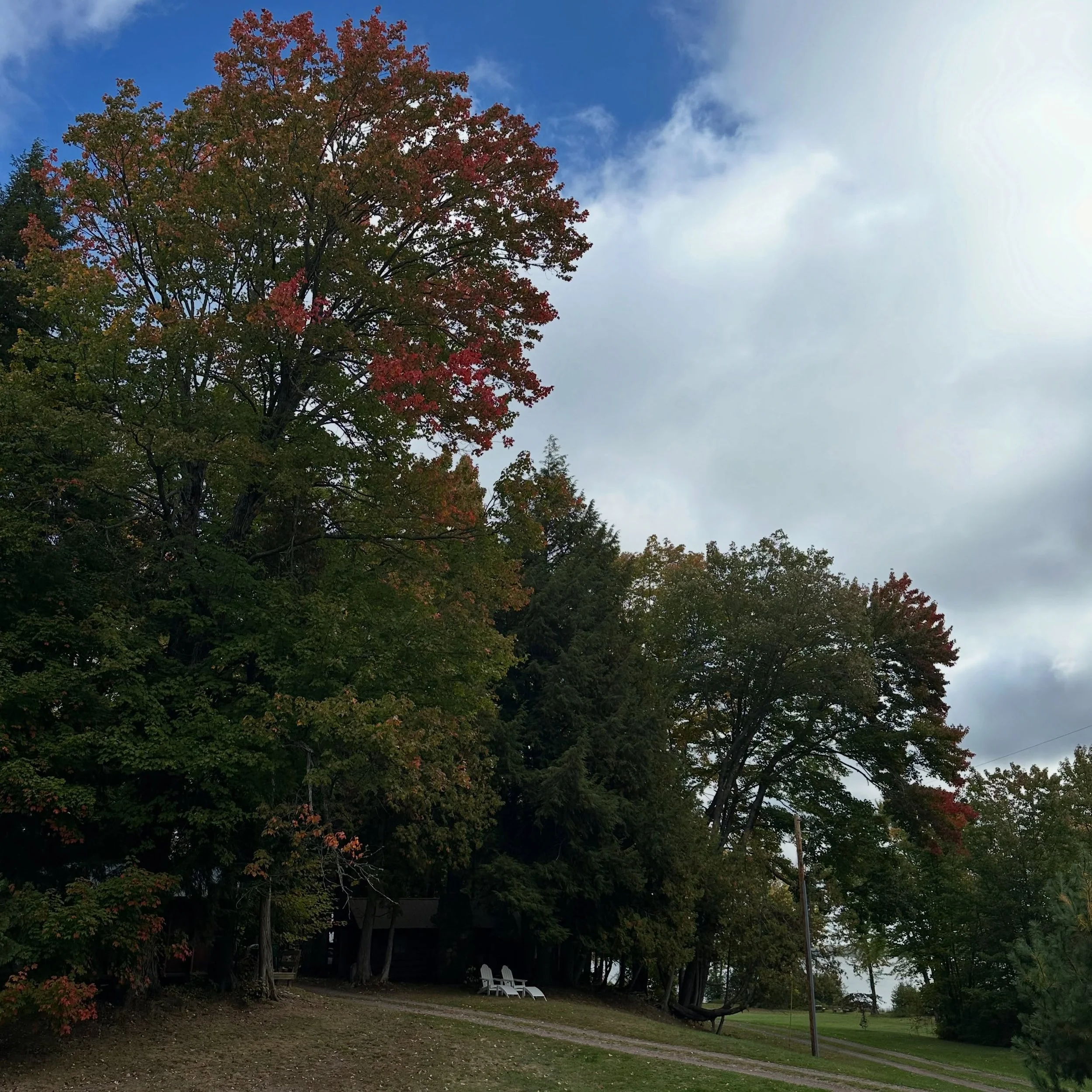 The colors are starting to pop 🍁 manninenscabins.com #otterlakelife #manninenscabins