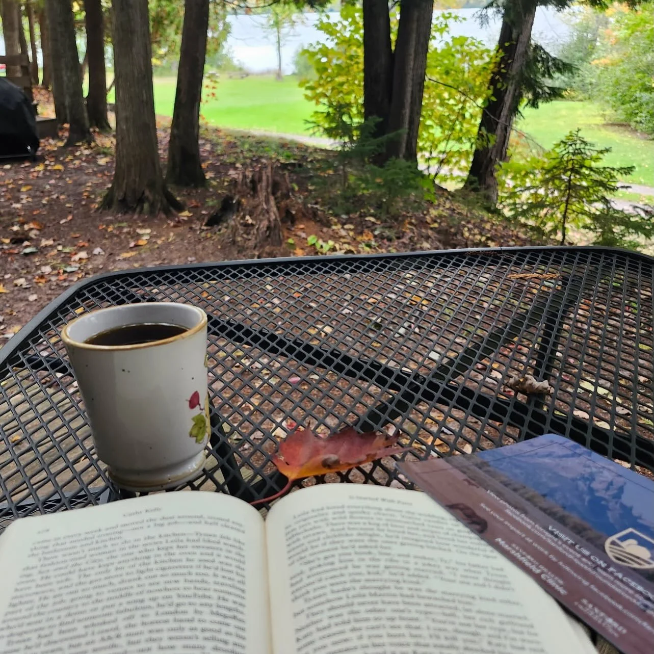 Doesn&rsquo;t get much better 📚 ☕️ ☀️🍁 Photo by Melissa Darr. manninenscabins.com #otterlakelife #manninenscabins