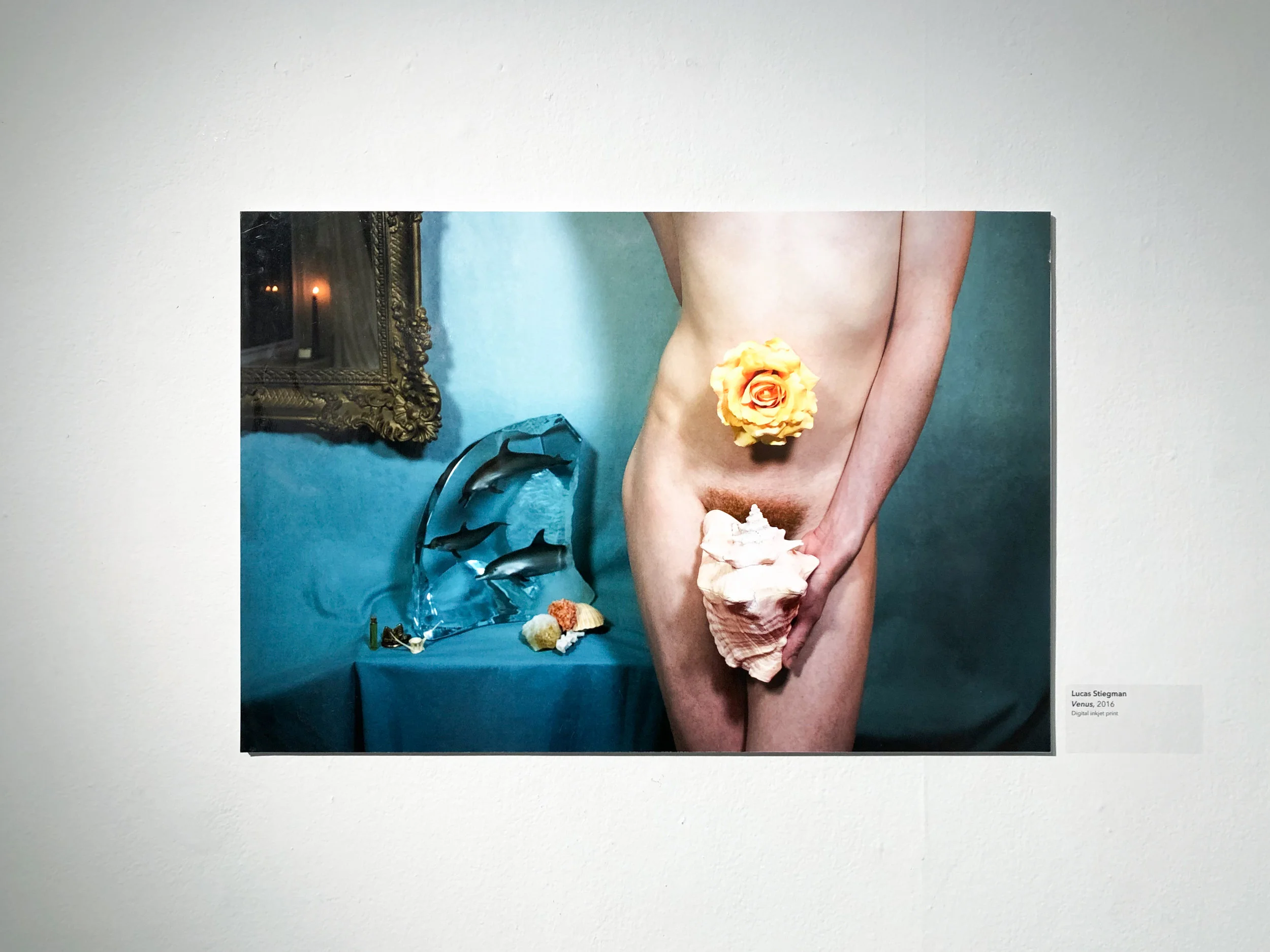 seniorshow-2.jpg