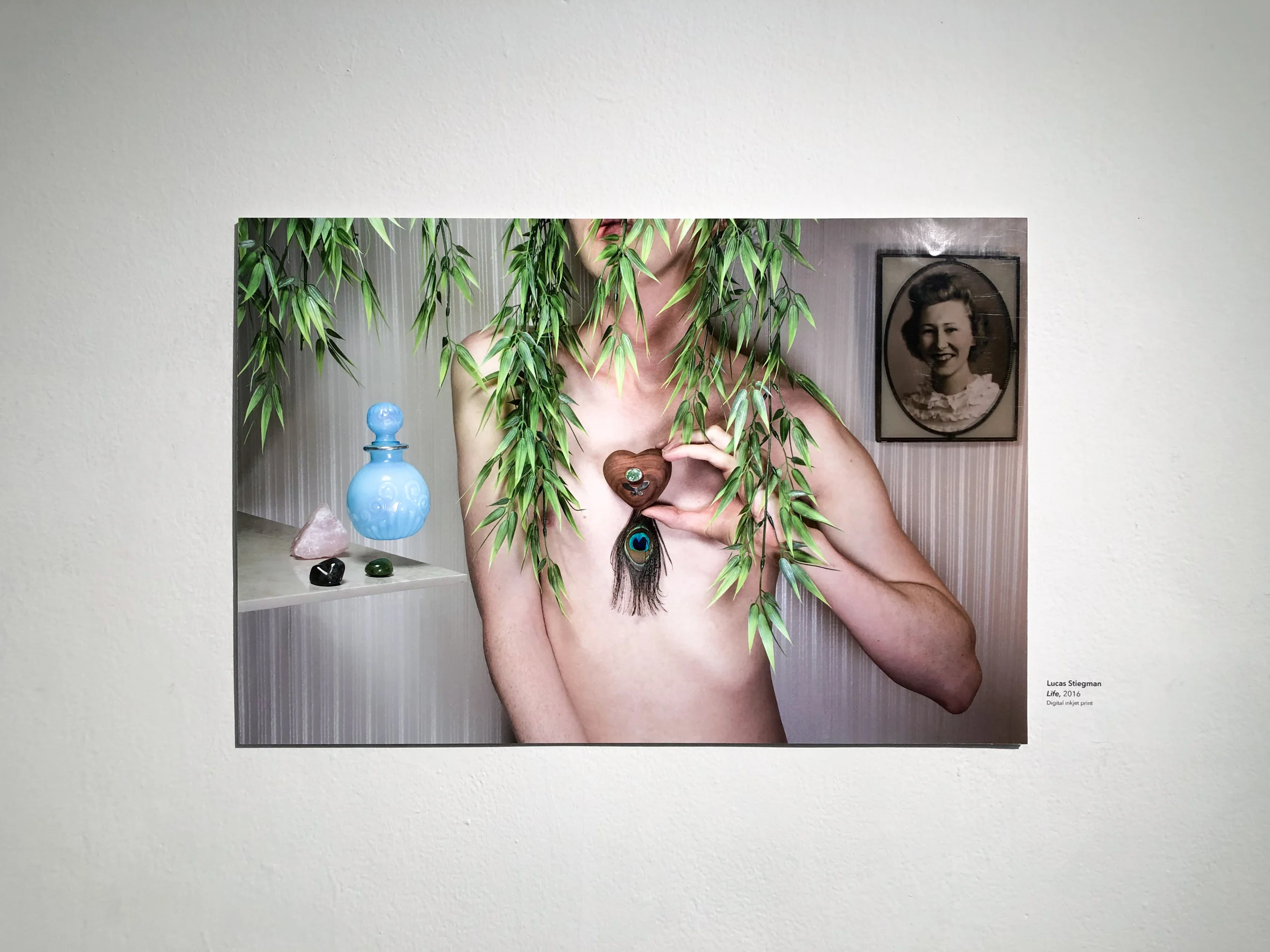 seniorshow-3.jpg