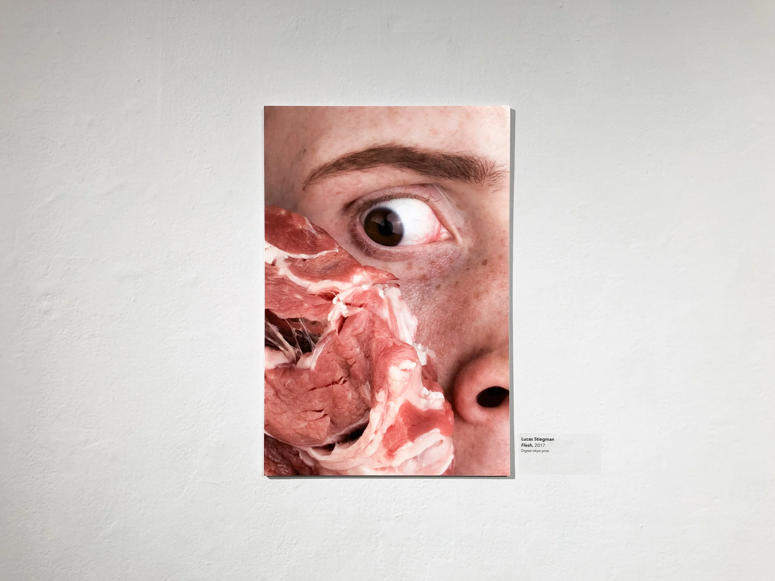 seniorshow-5.jpg