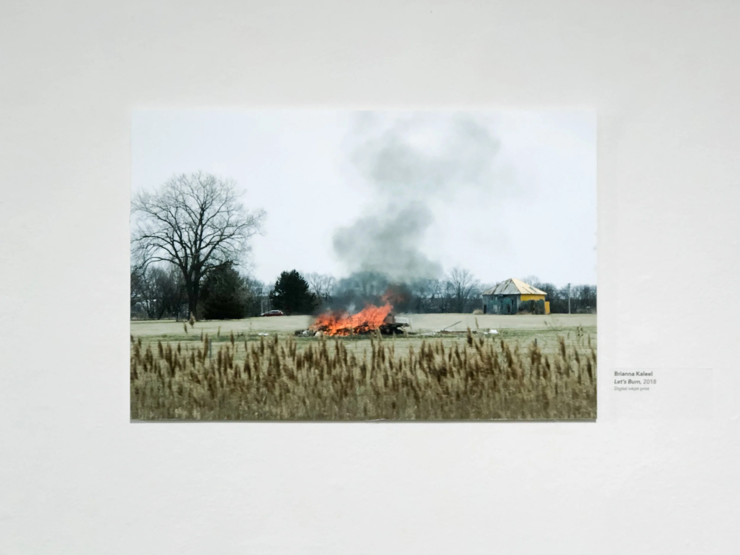 seniorshow-9.jpg
