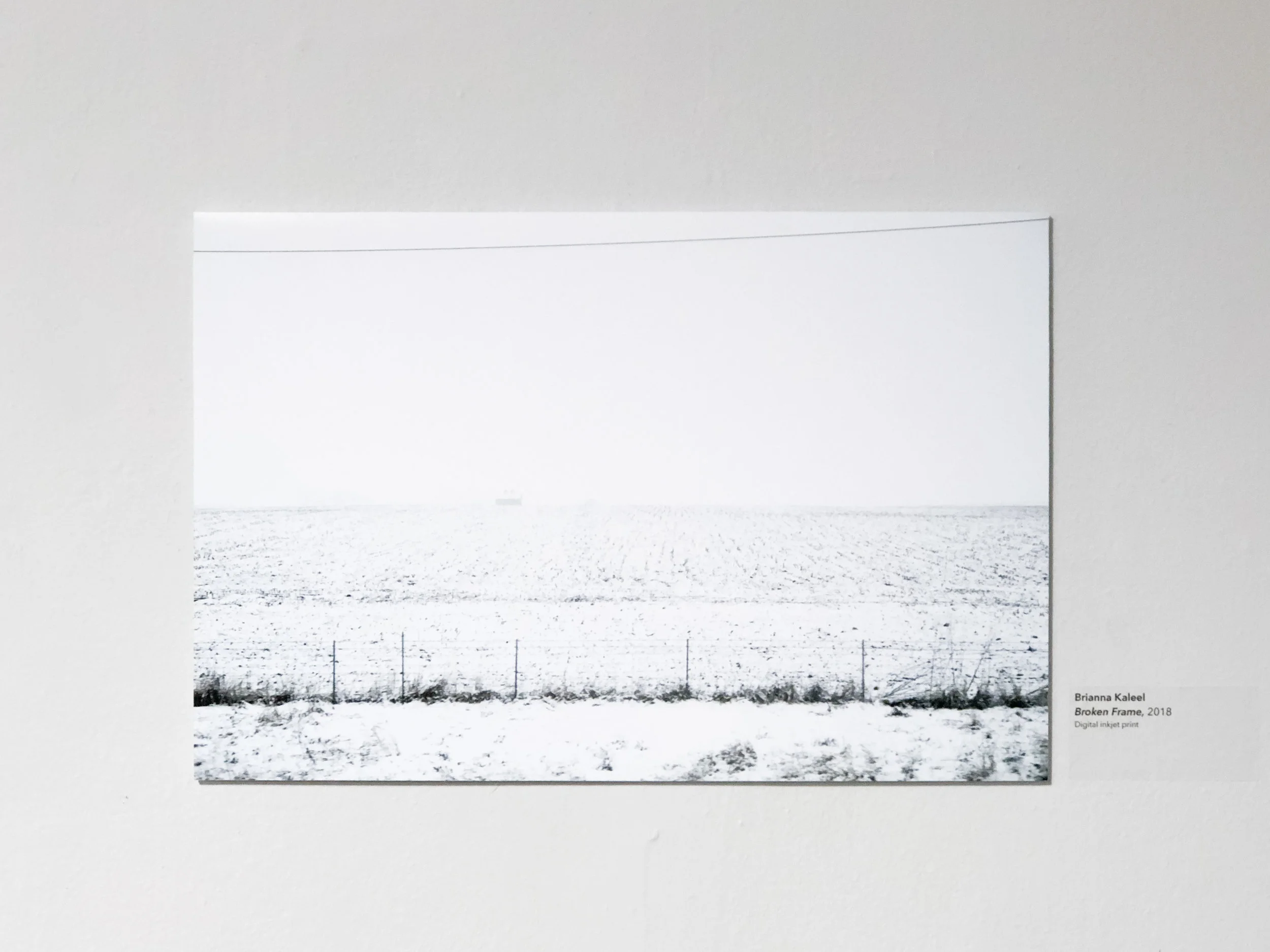 seniorshow-10.jpg