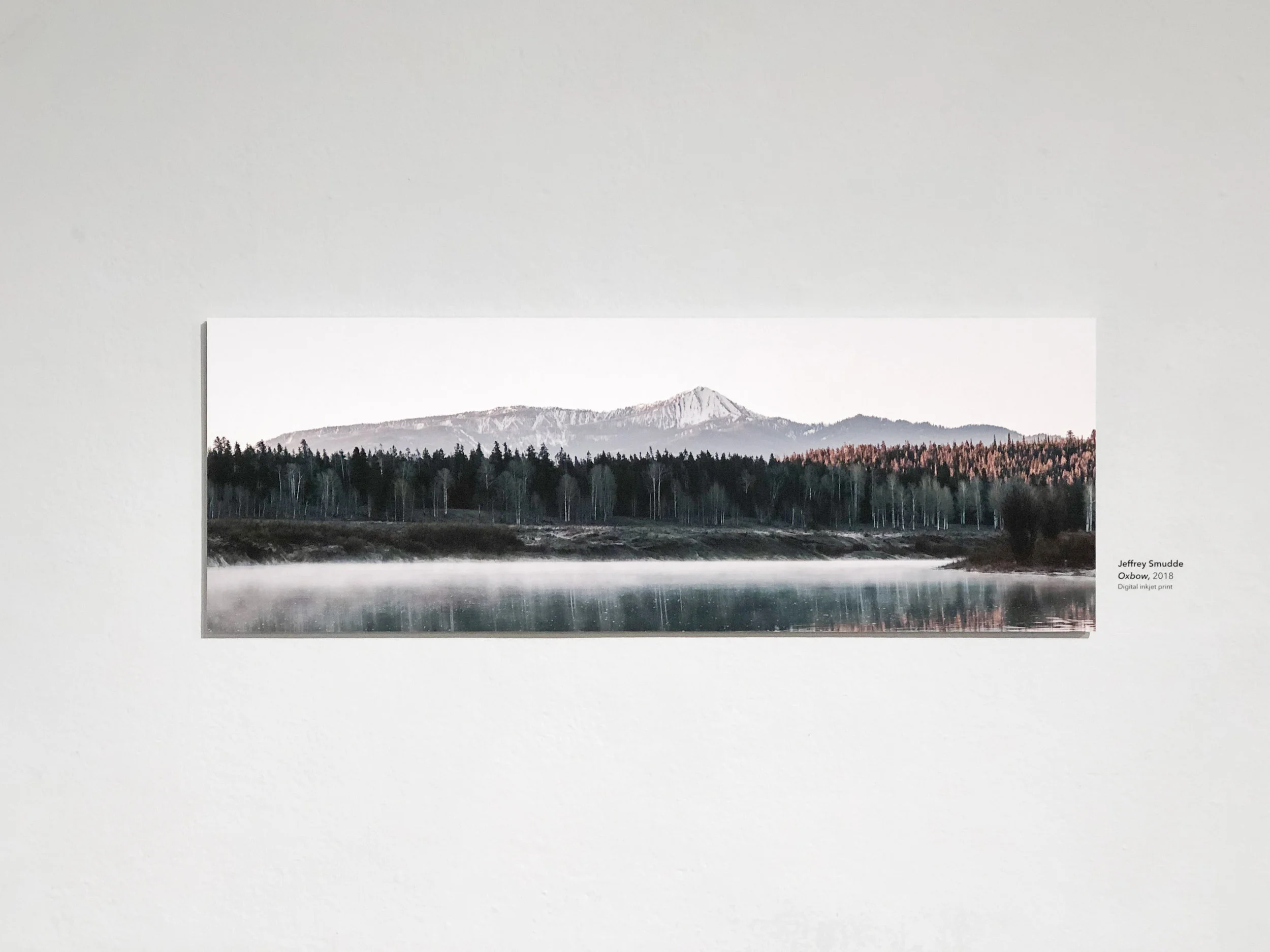 seniorshow-11.jpg