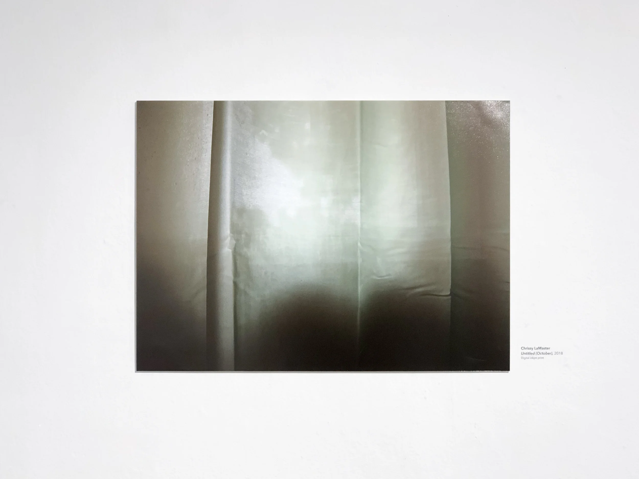 seniorshow-16.jpg