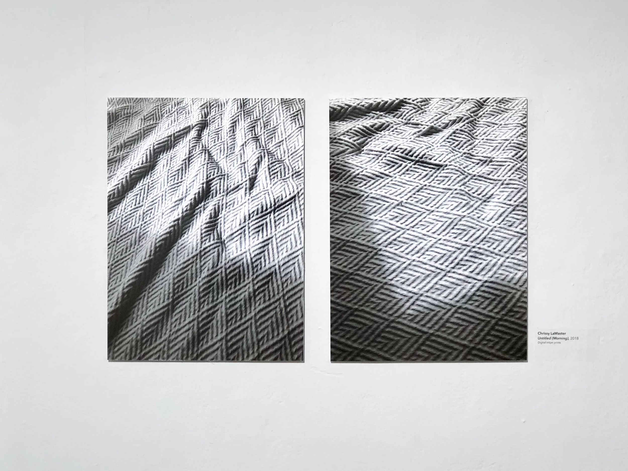seniorshow-19.jpg