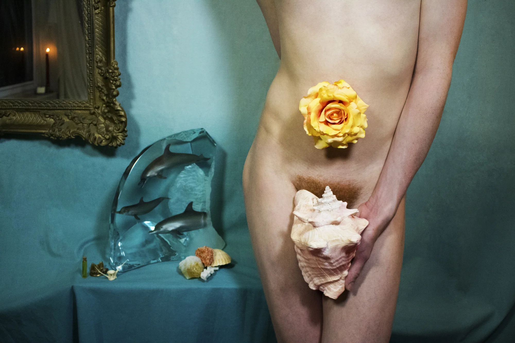 Venus, 2016