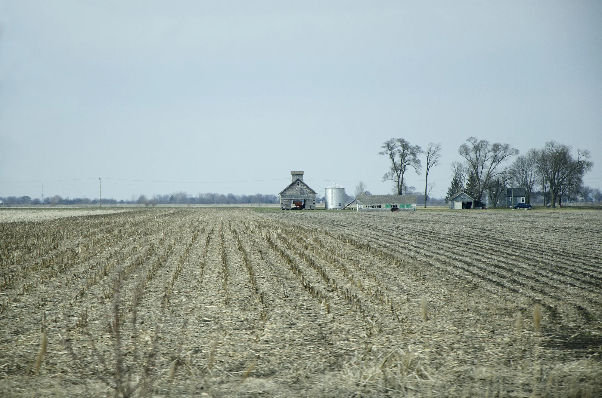 Farm Village, 2018