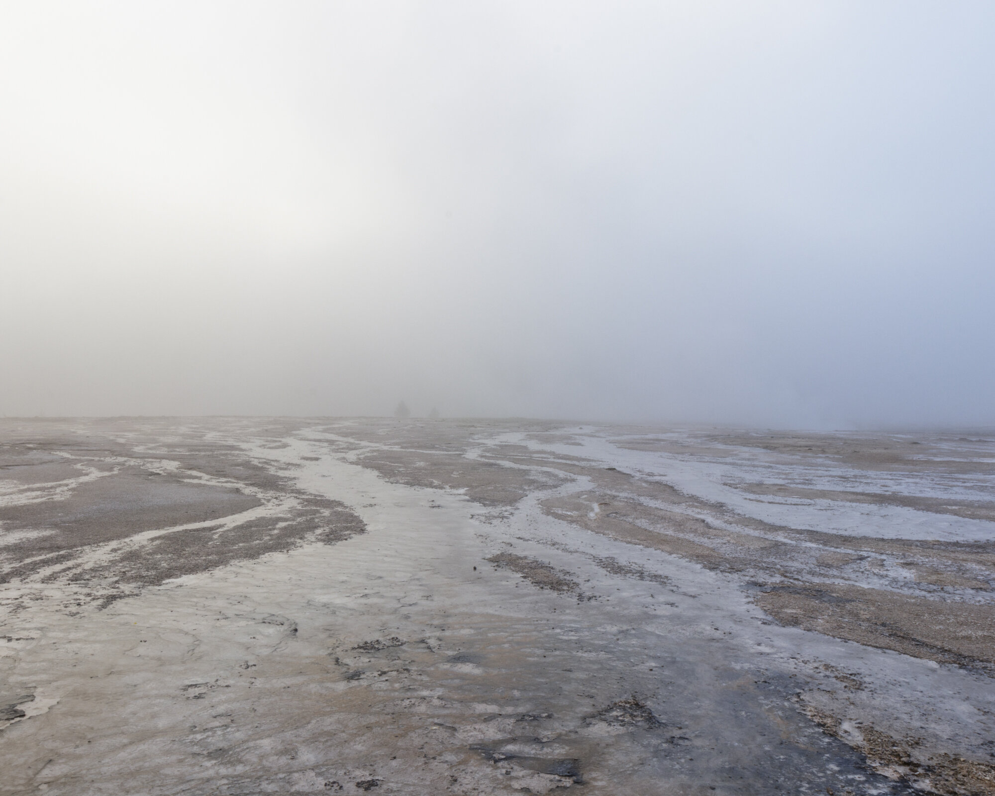 Yellowstone National Park, 2018