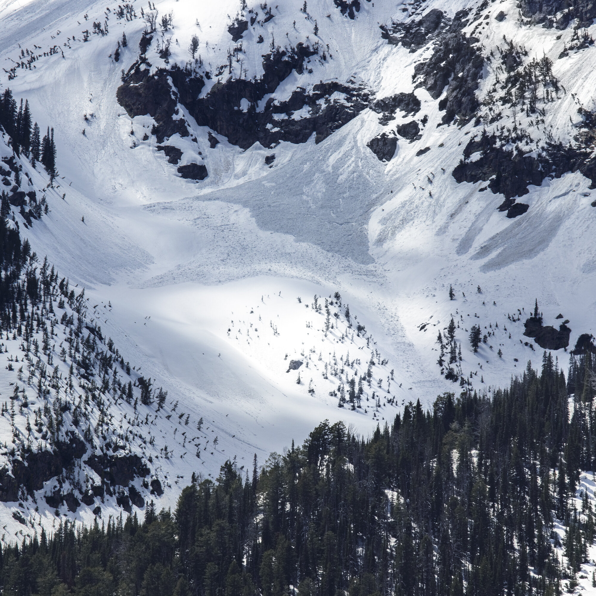 Grand Teton National Park, 2018