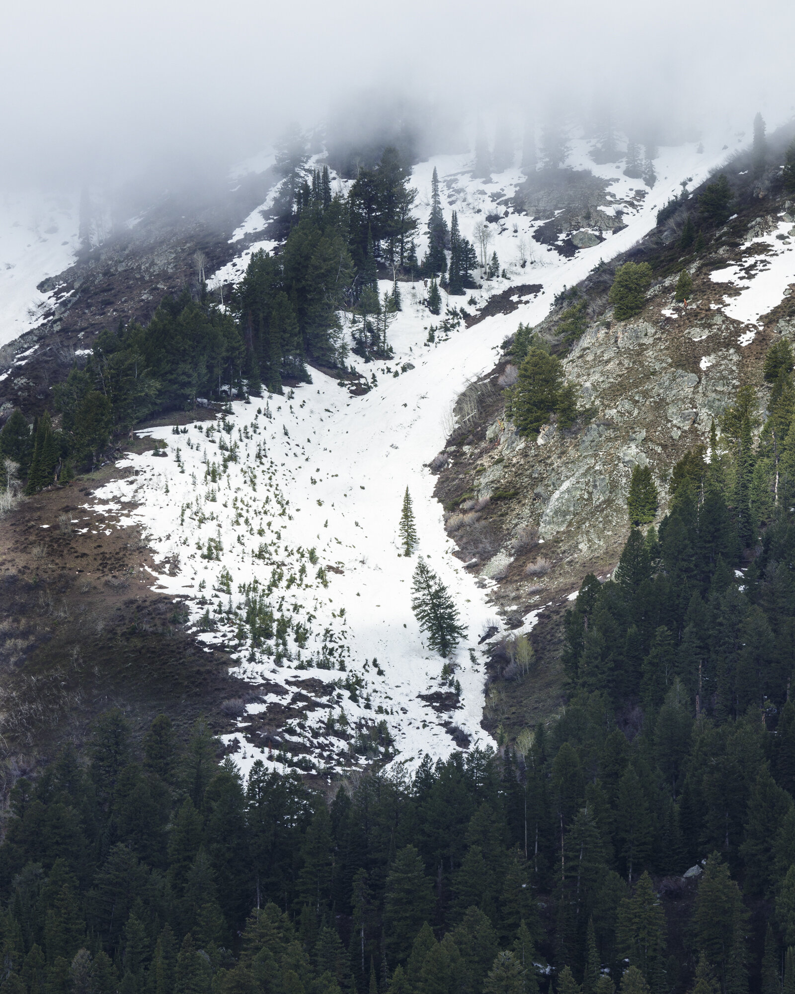 Grand Teton National Park, 2018